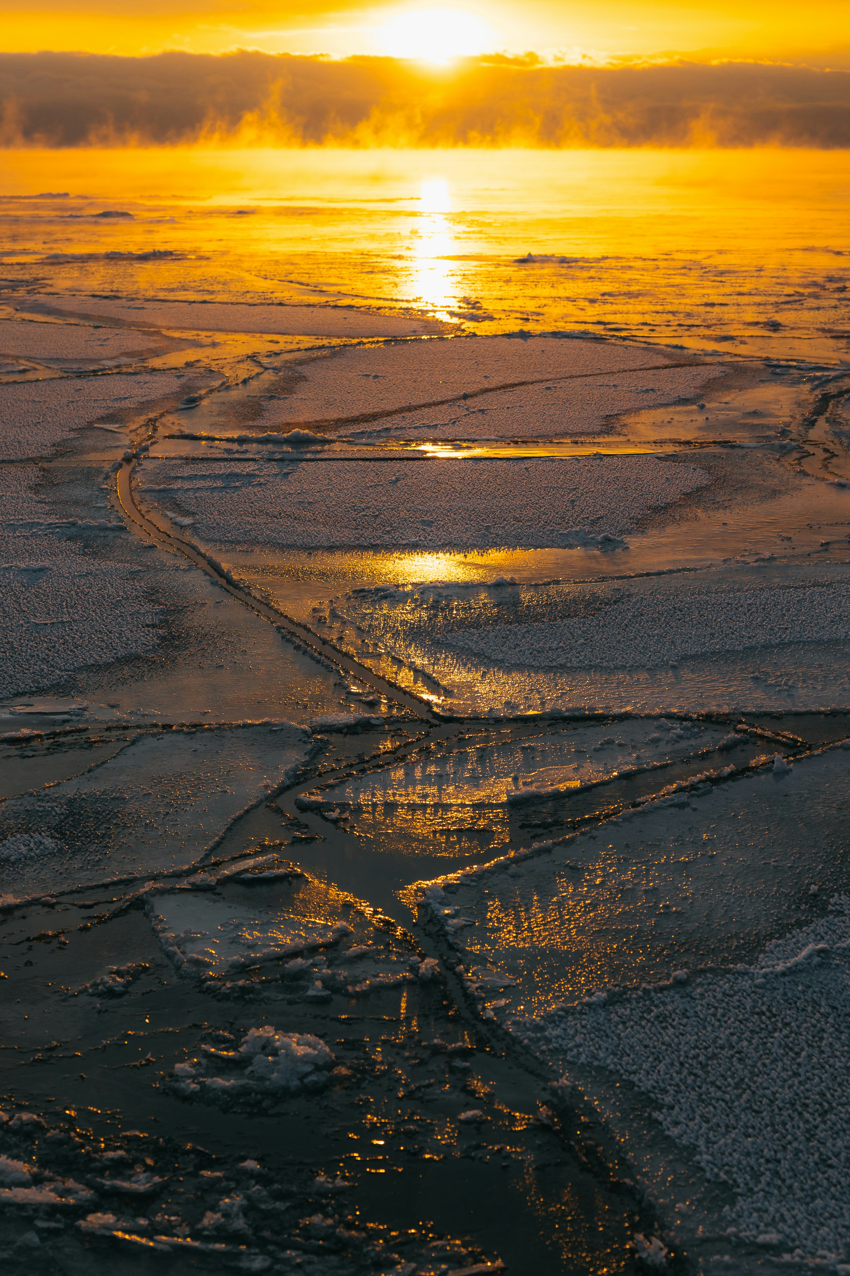 Photo by shotfromdeep