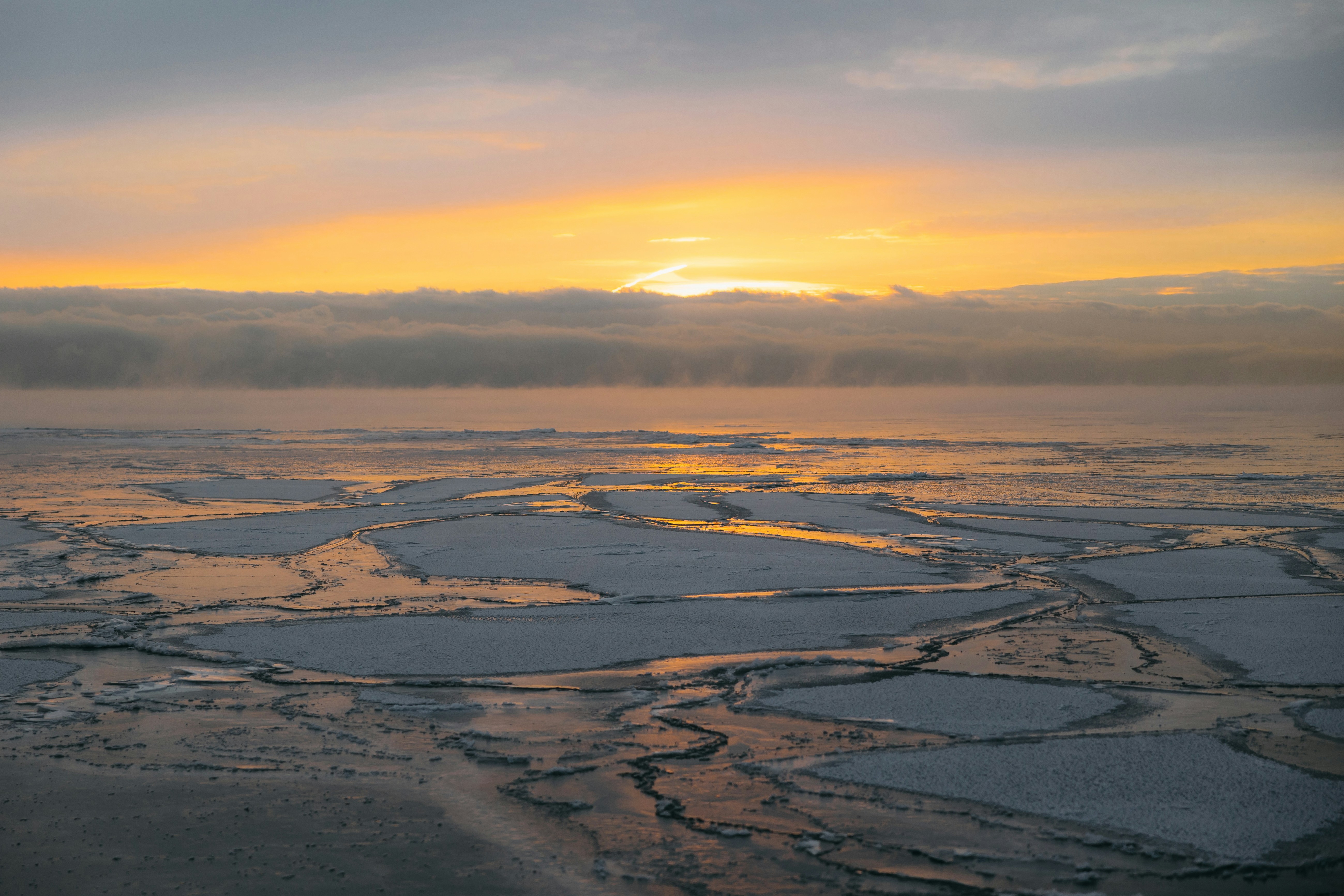 Photo by shotfromdeep