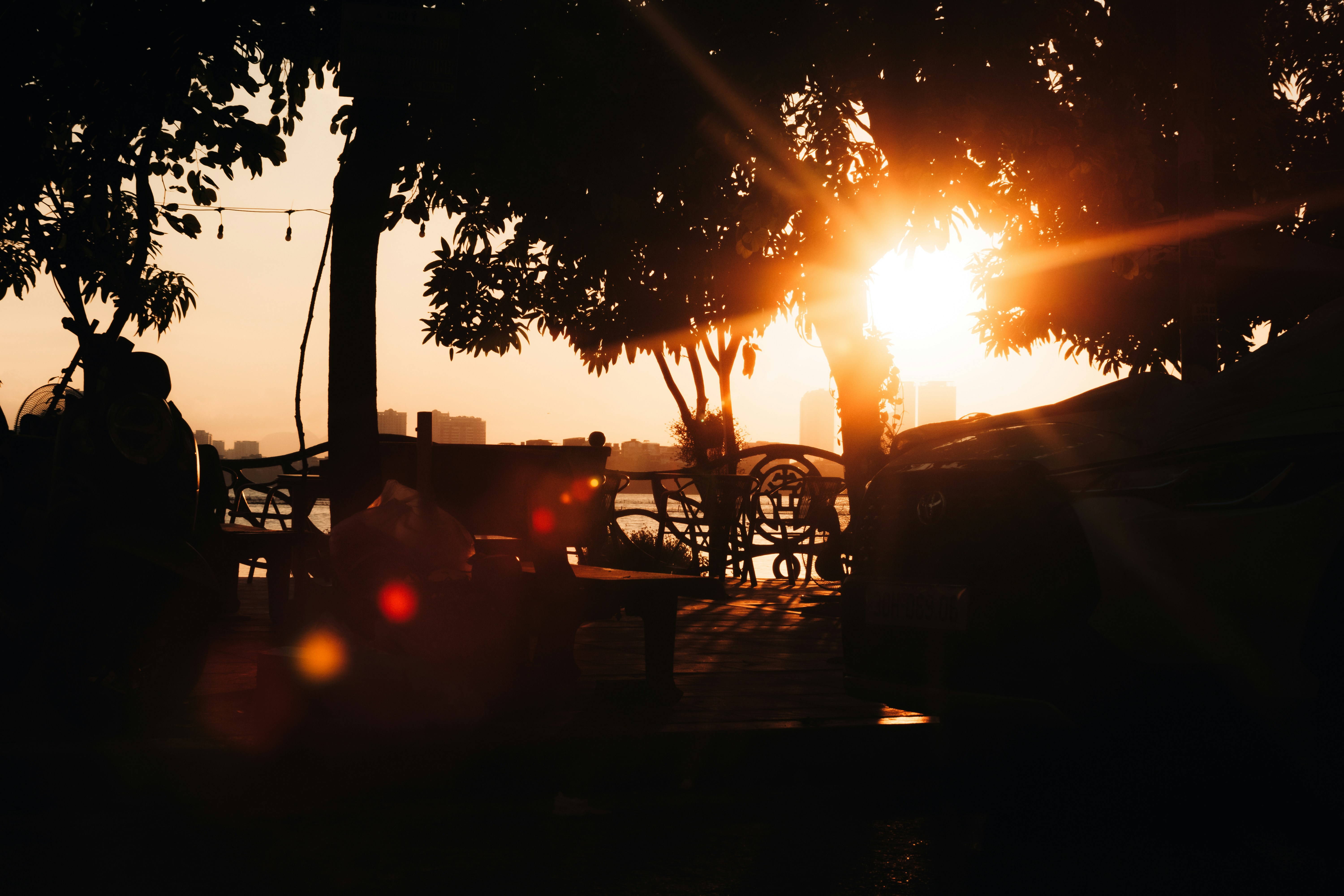 나무 사이로 노을을 하며 렌즈 플레어가 있습니다.