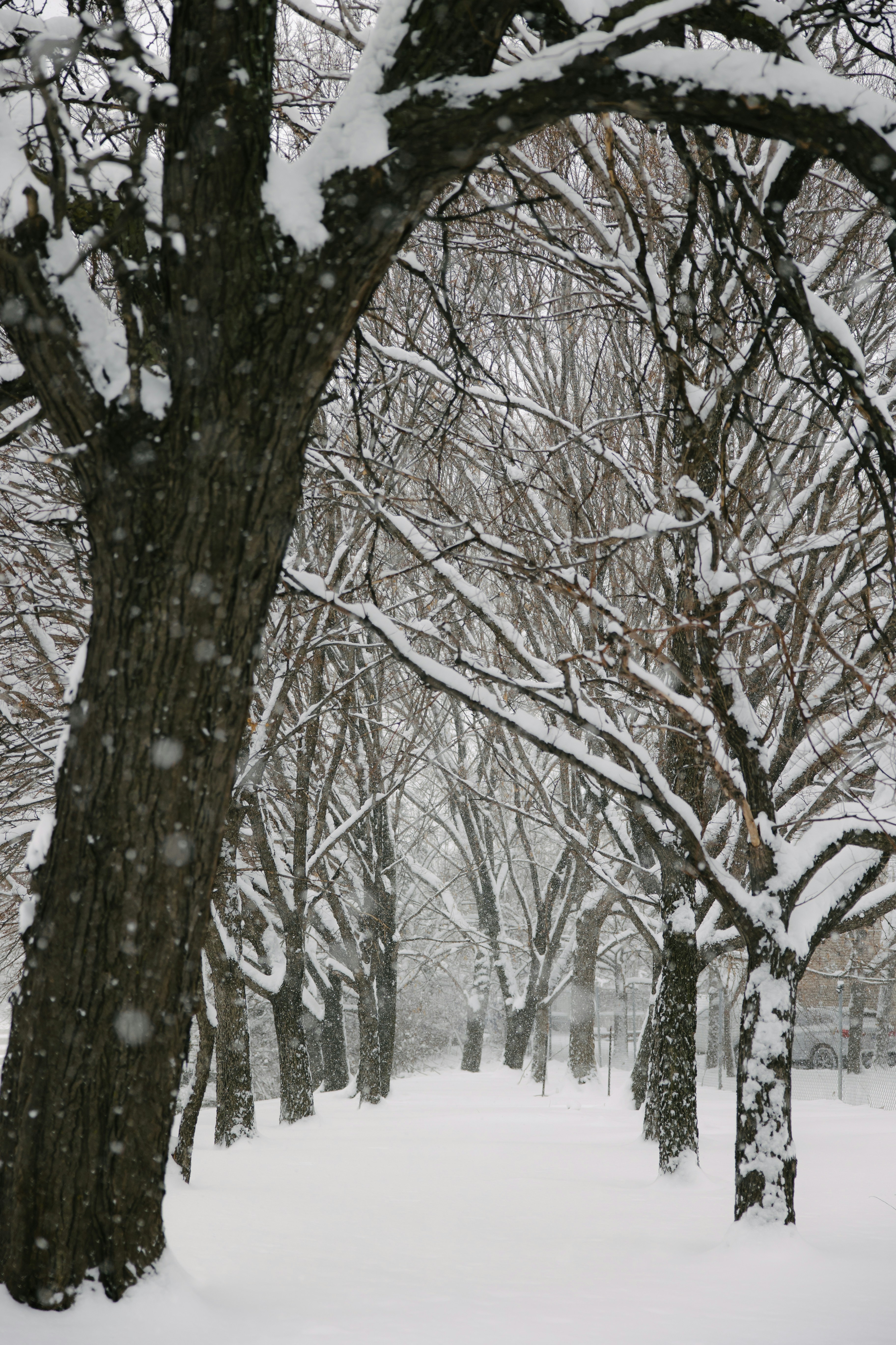 Photo by shotfromdeep