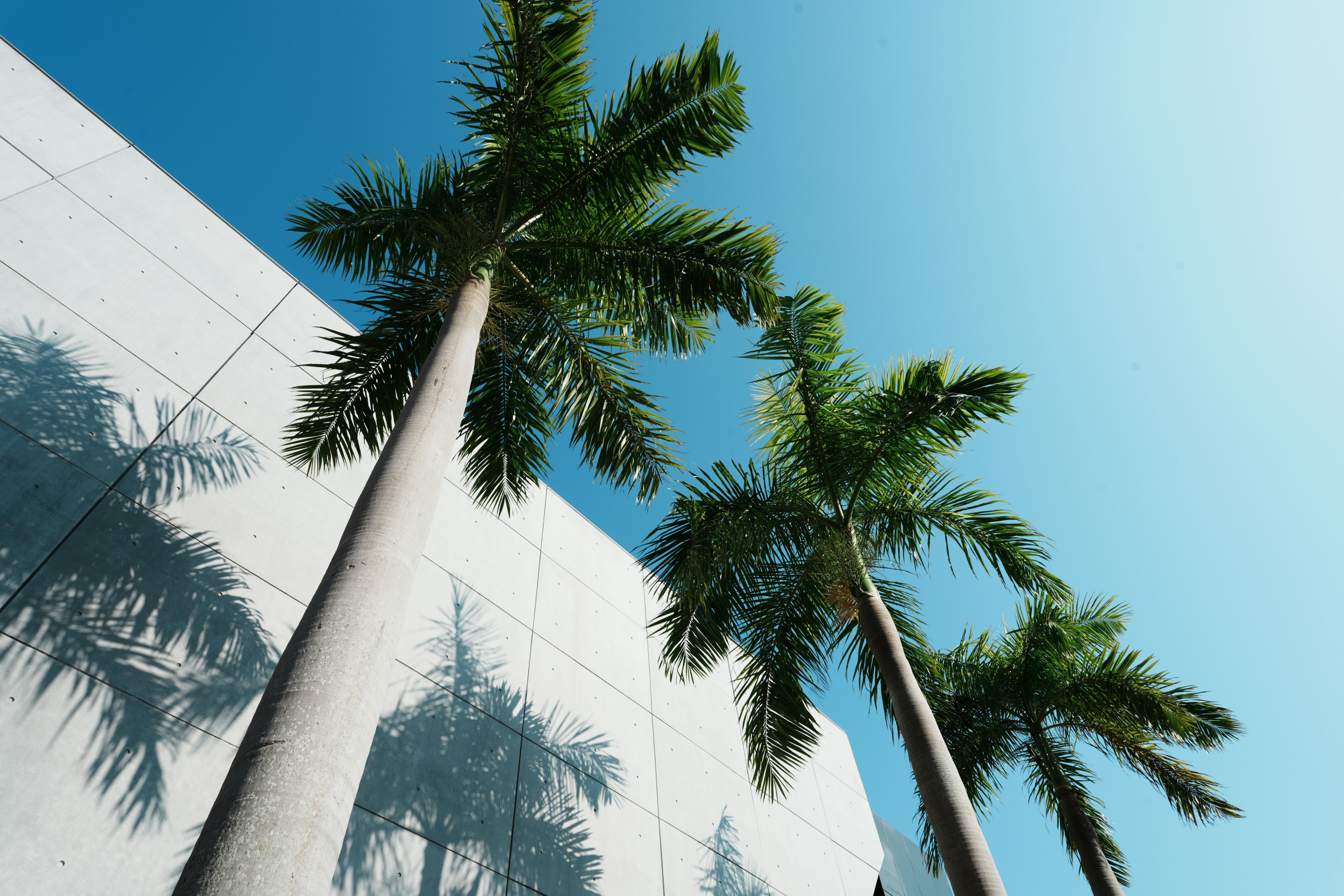 Photo by yangyan1998