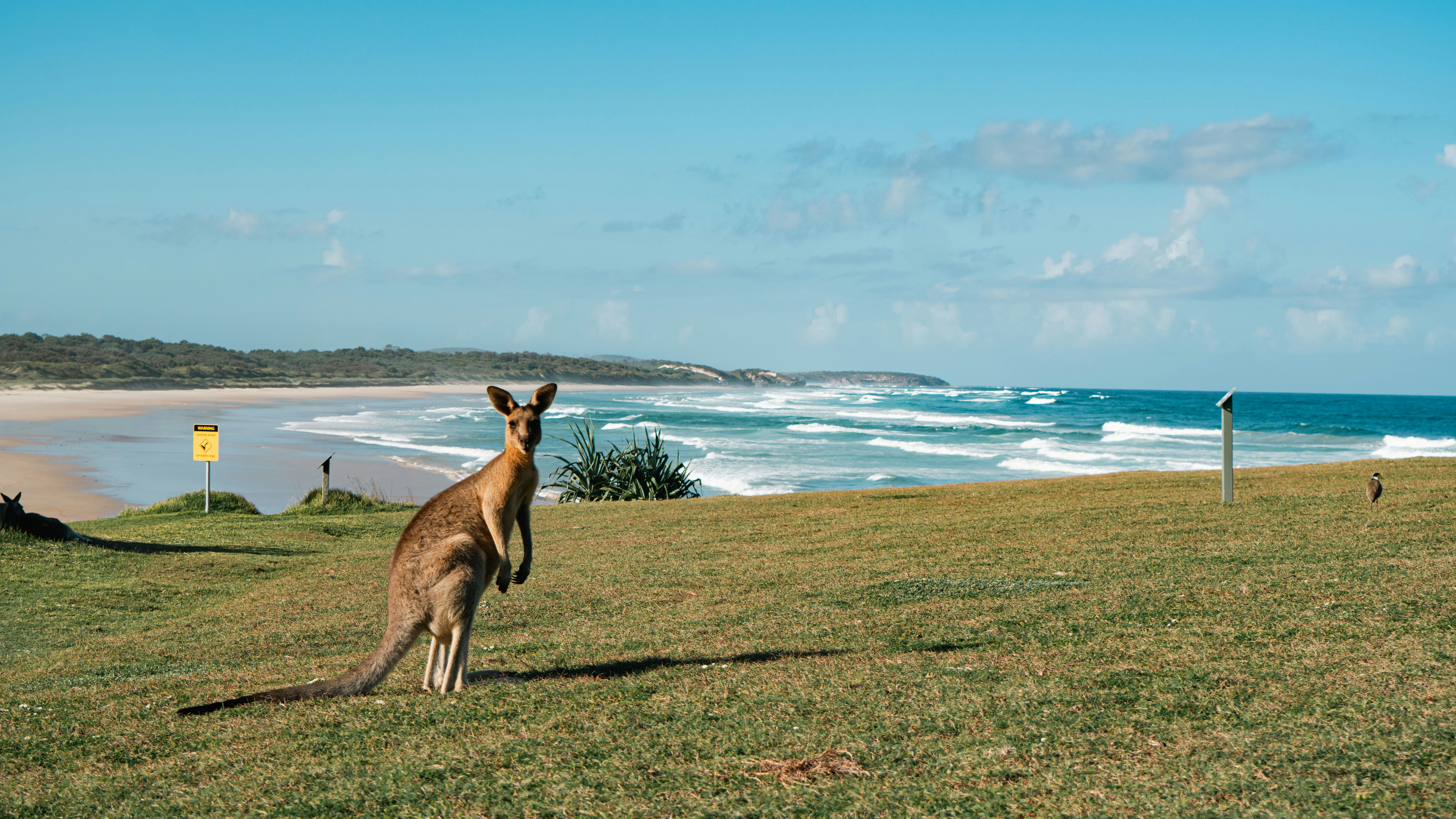 Stay online in the Australia with a prepaid eSIM from eSIMlii. Instant activation, no roaming charges, and reliable coverage.