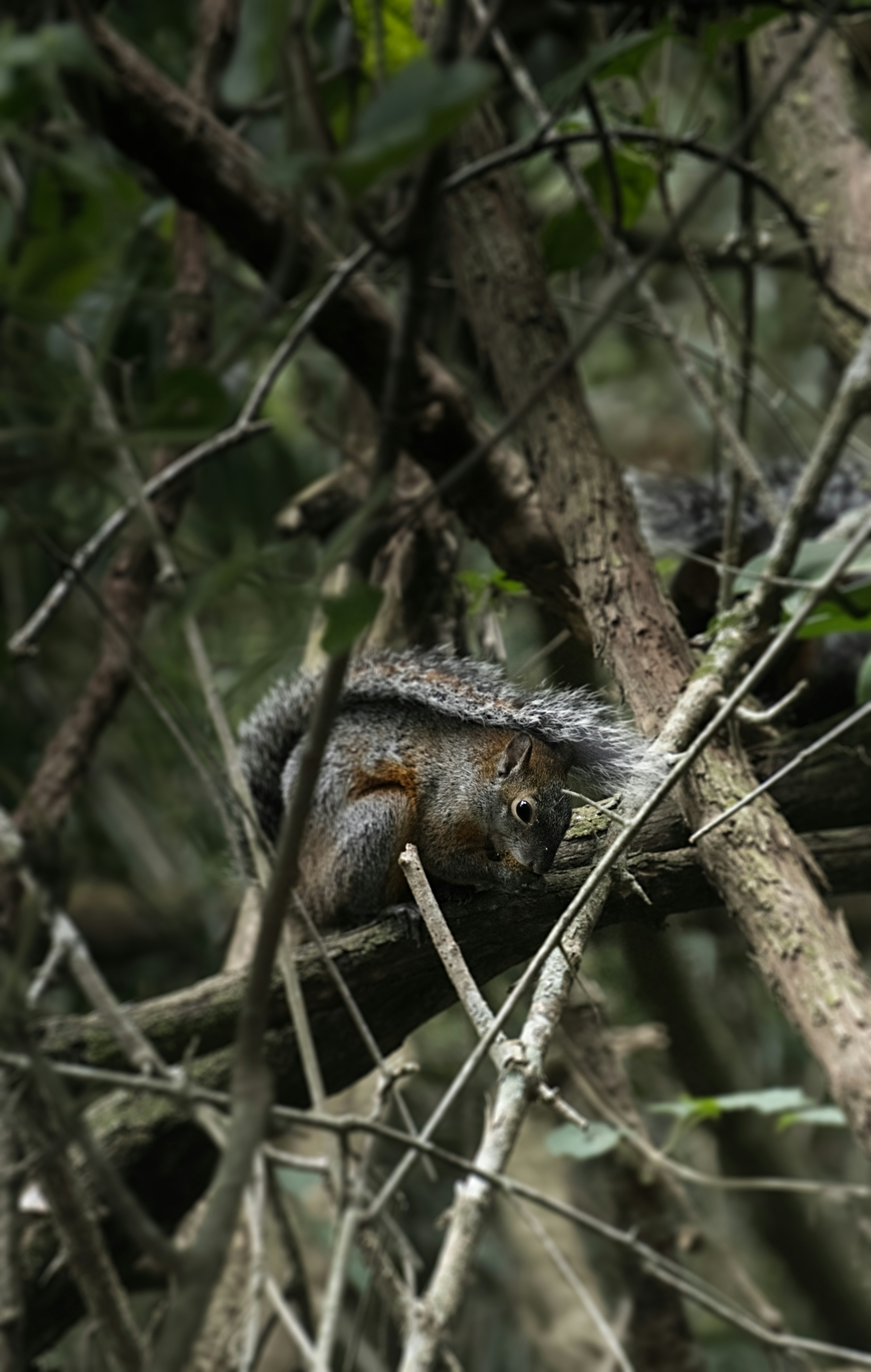 Photo by oscarespiritu