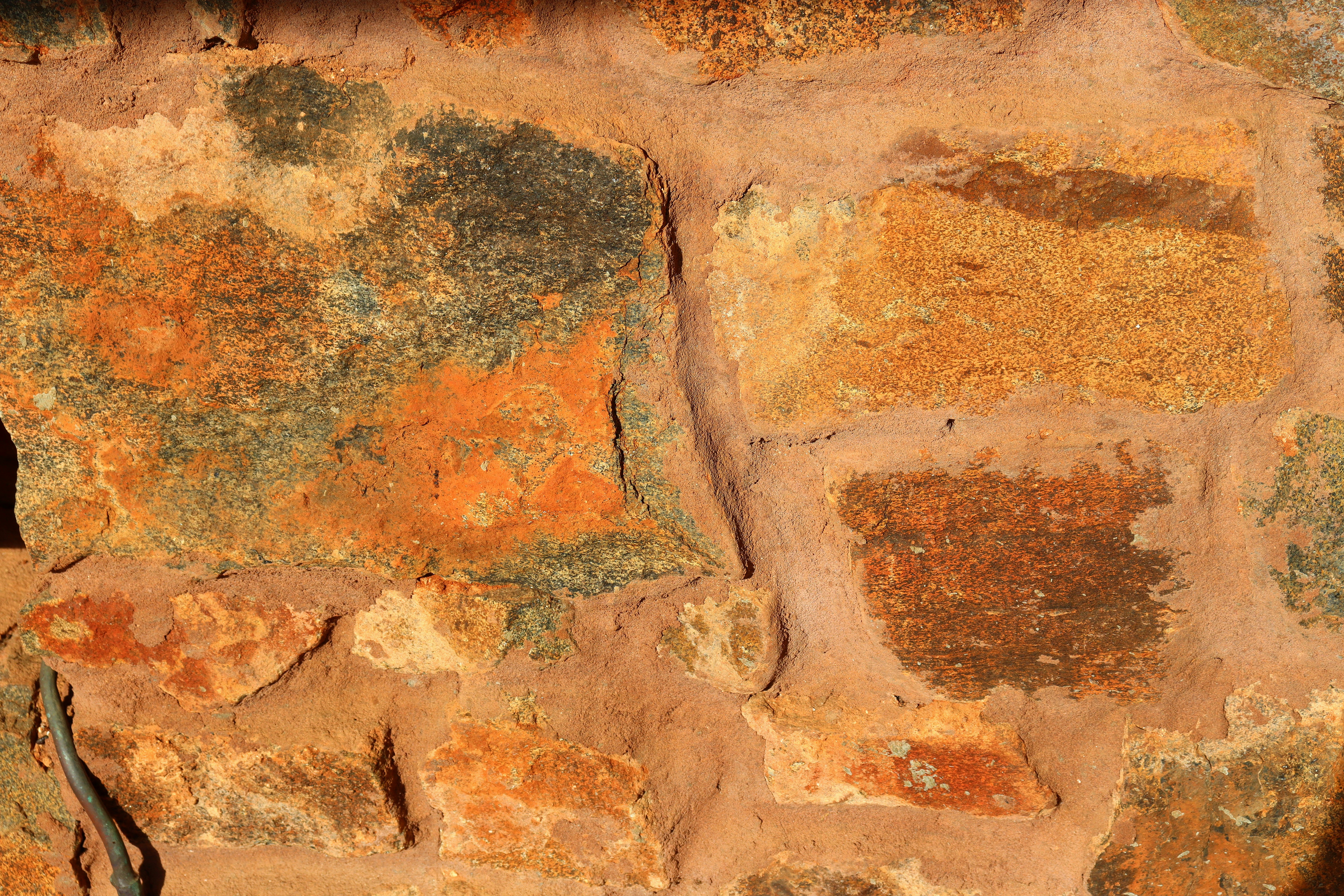 Photo by craigmanners_com