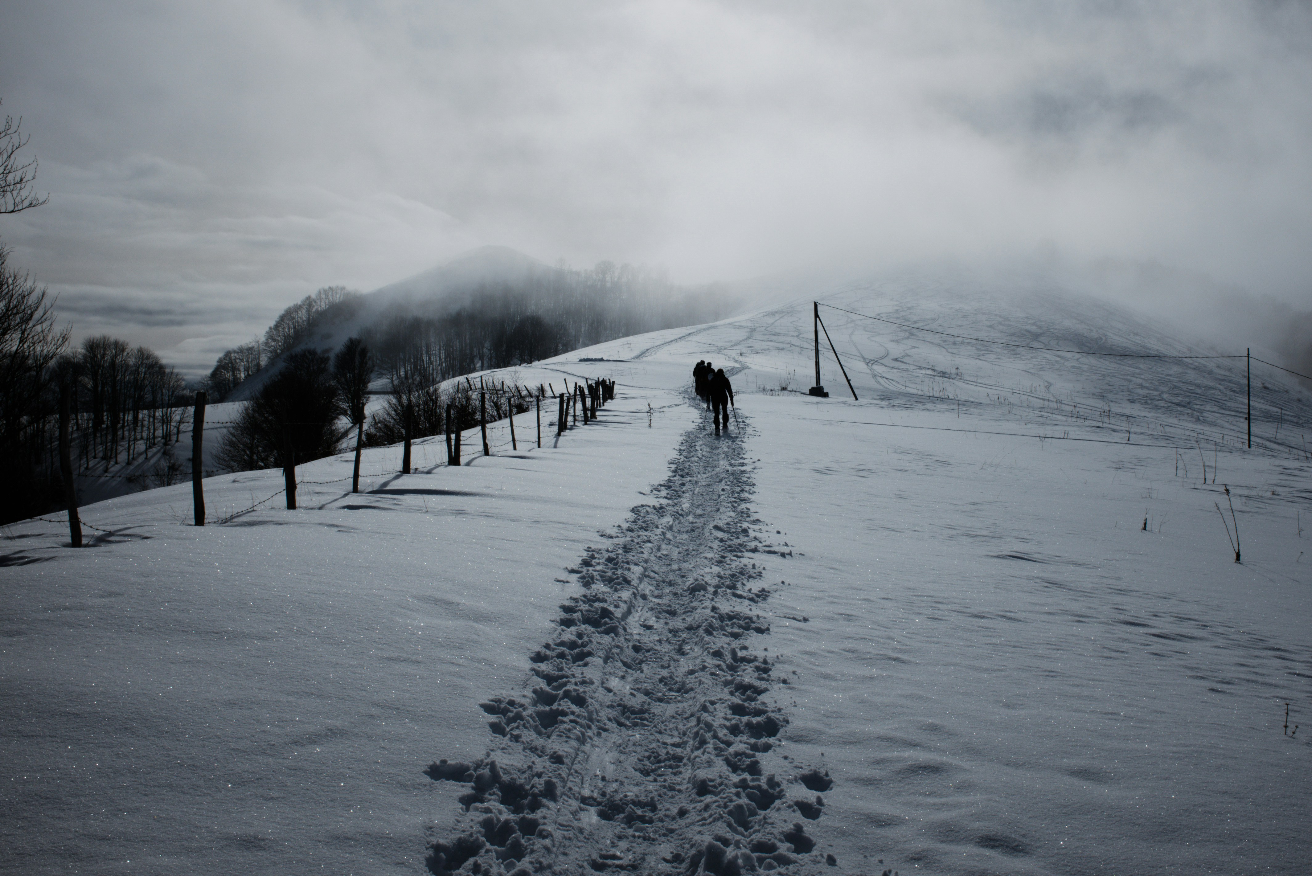 Photo by thomastygreat