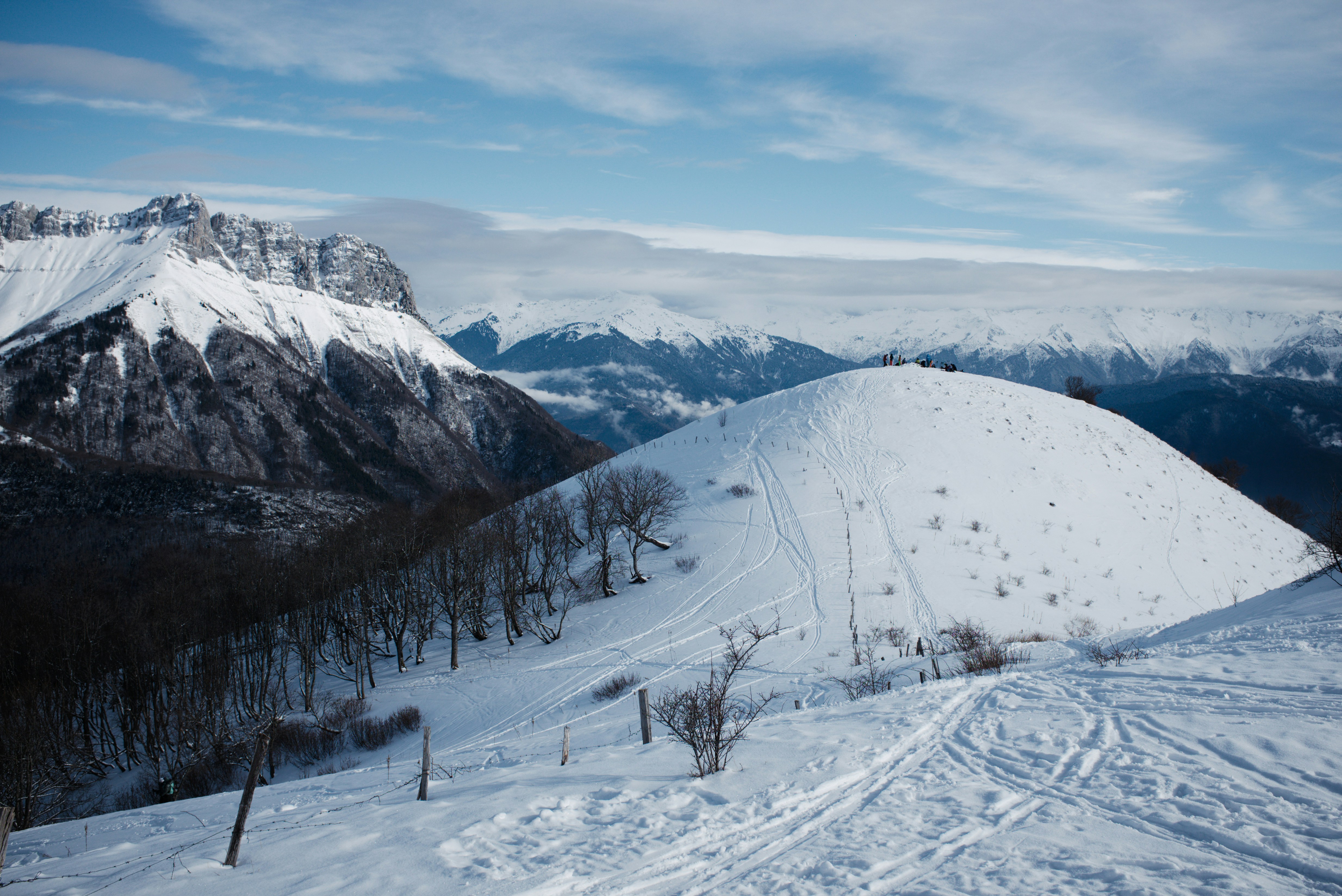 Photo by thomastygreat