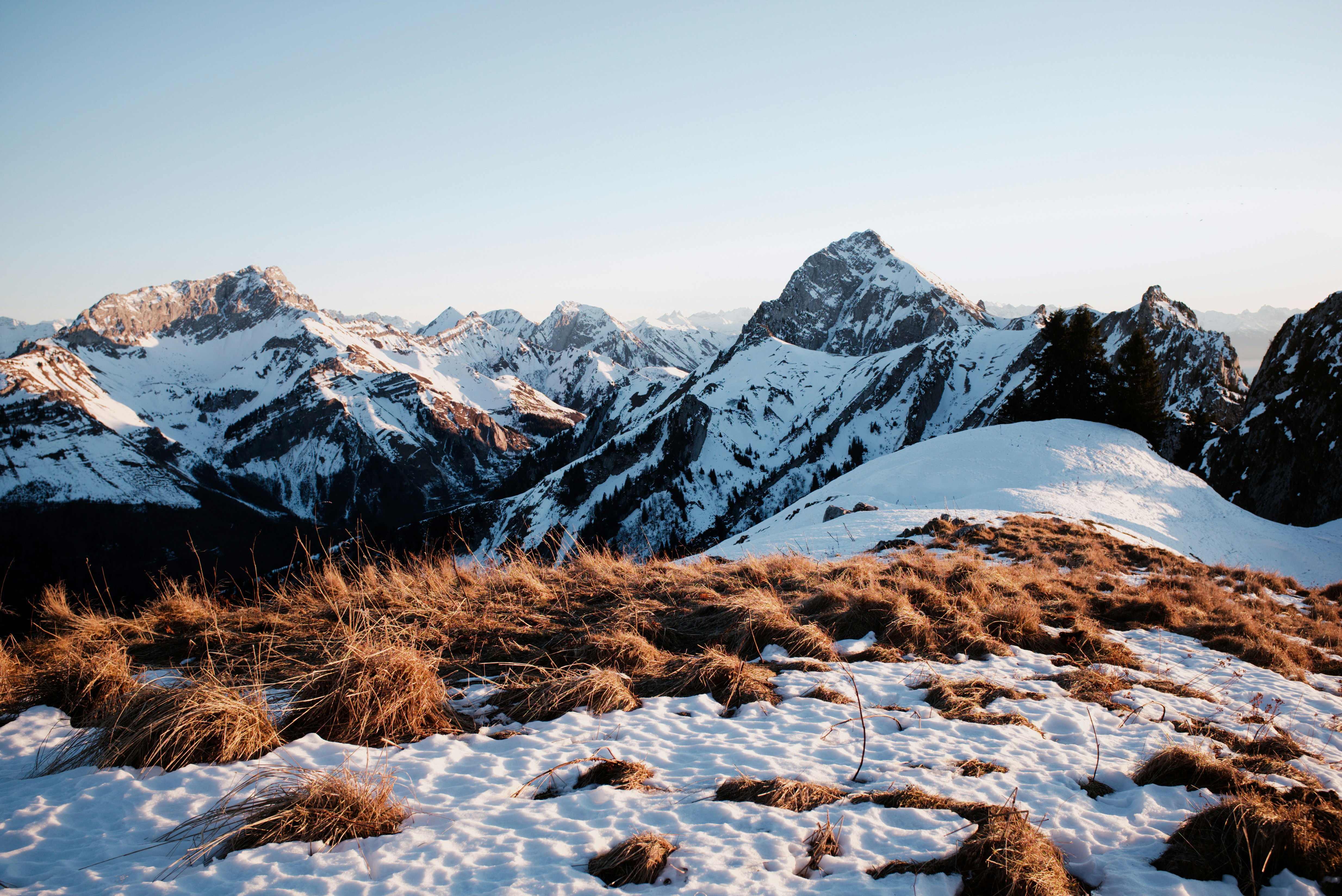 Photo by thomastygreat