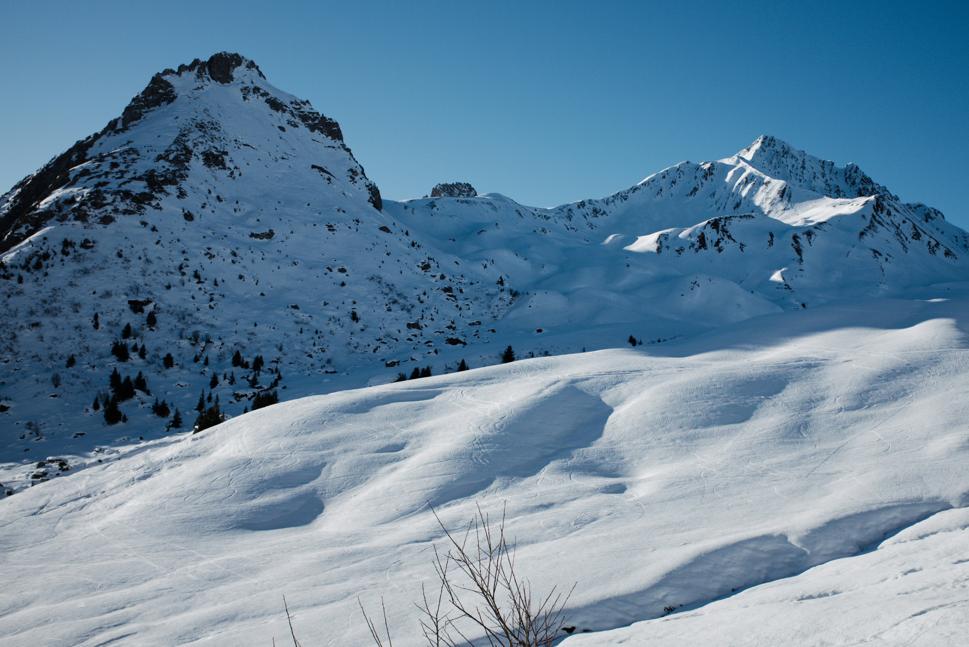 Photo by thomastygreat