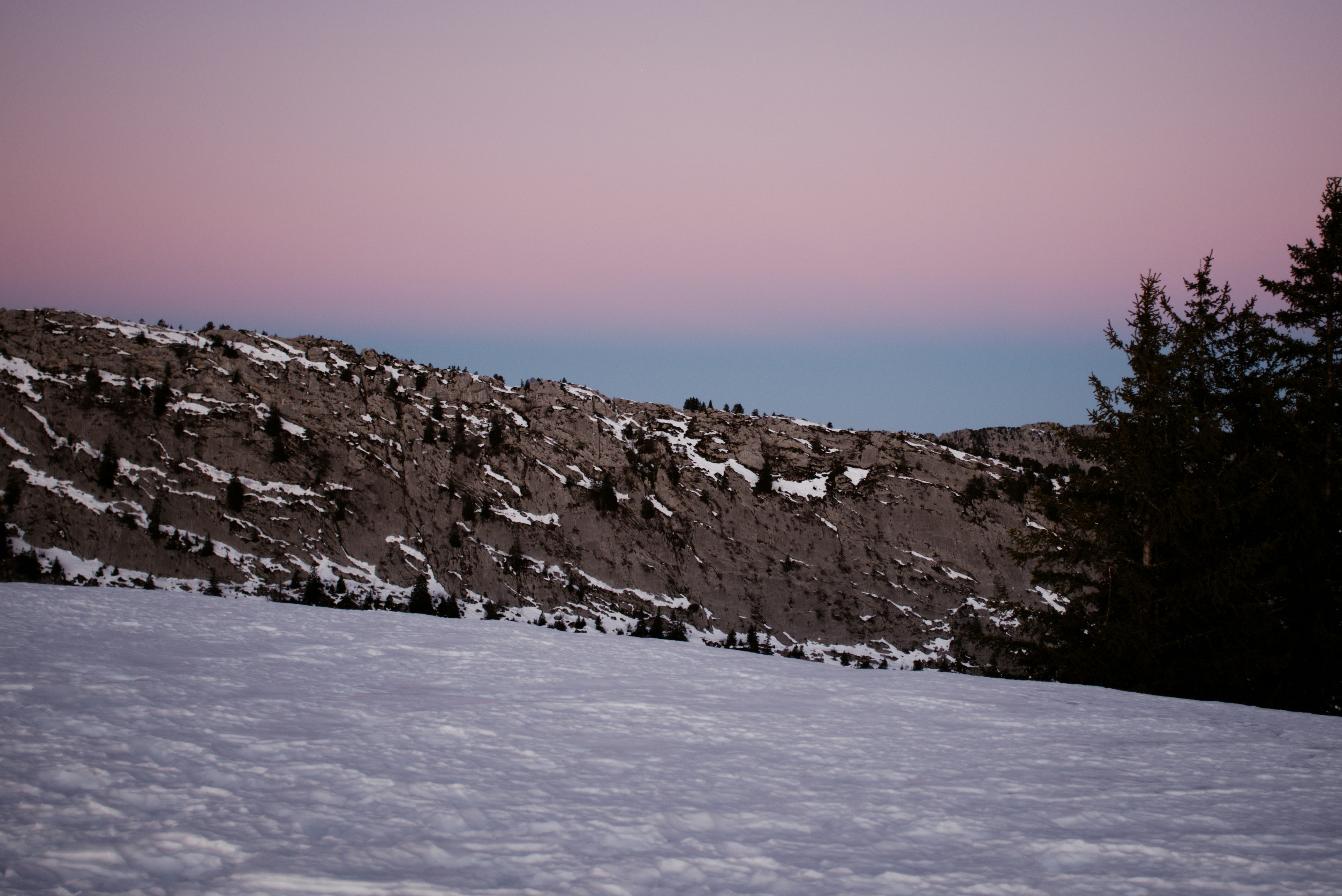 Photo by thomastygreat