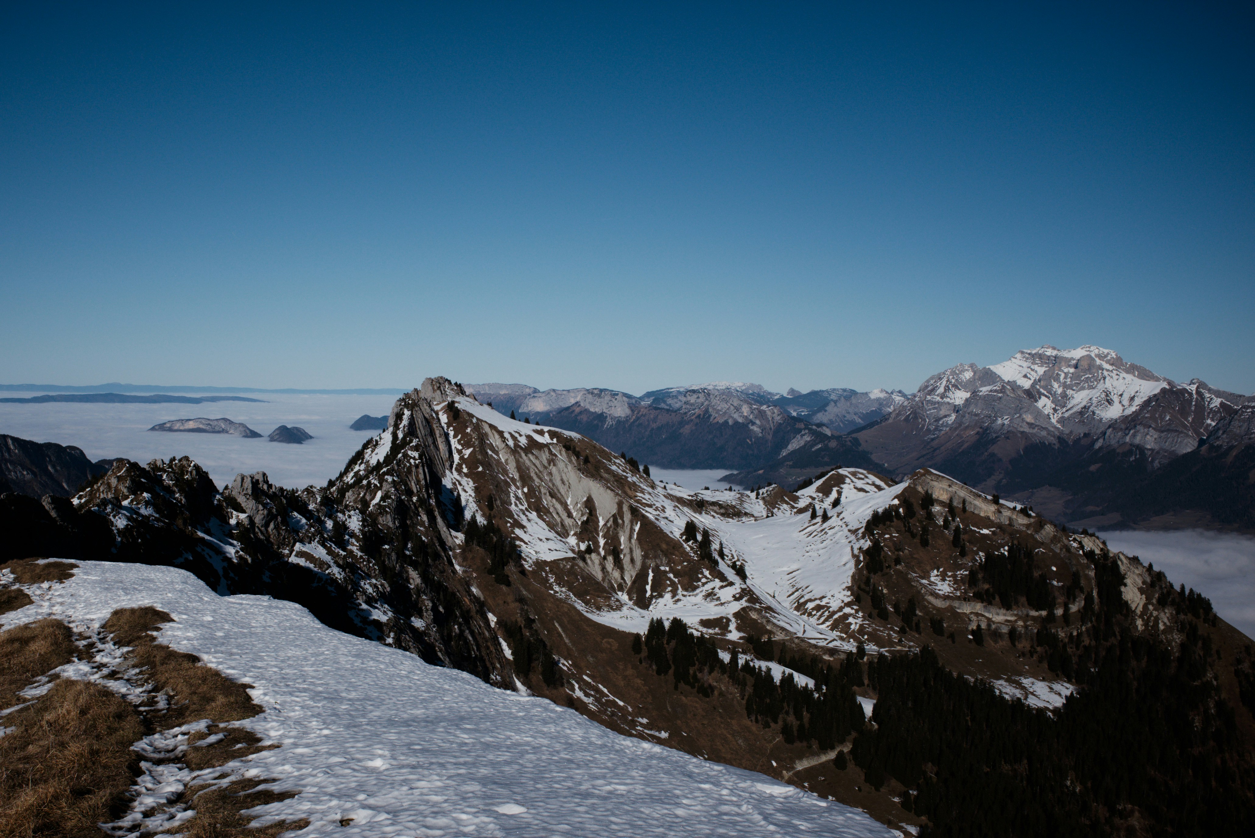 Photo by thomastygreat