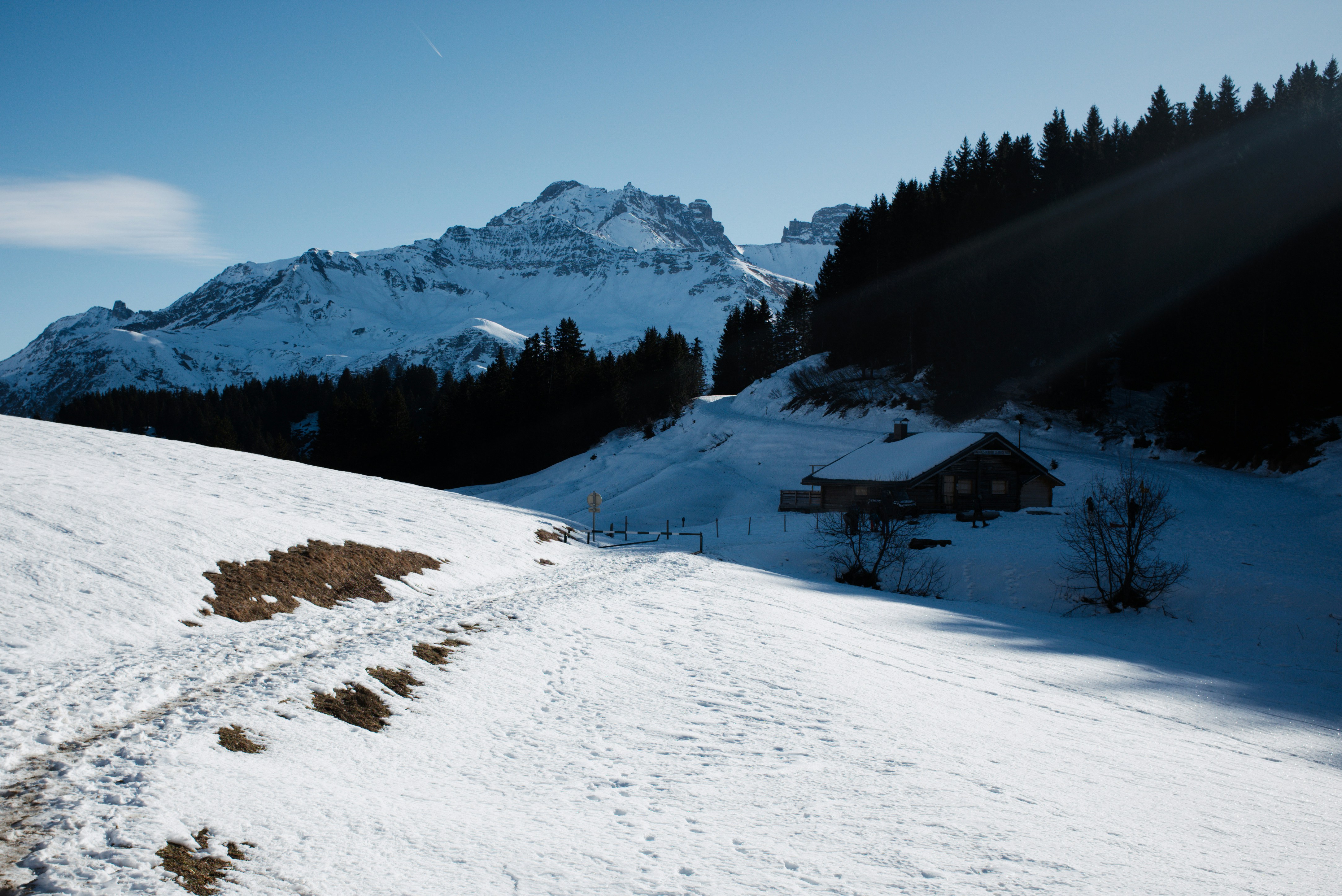 Photo by thomastygreat