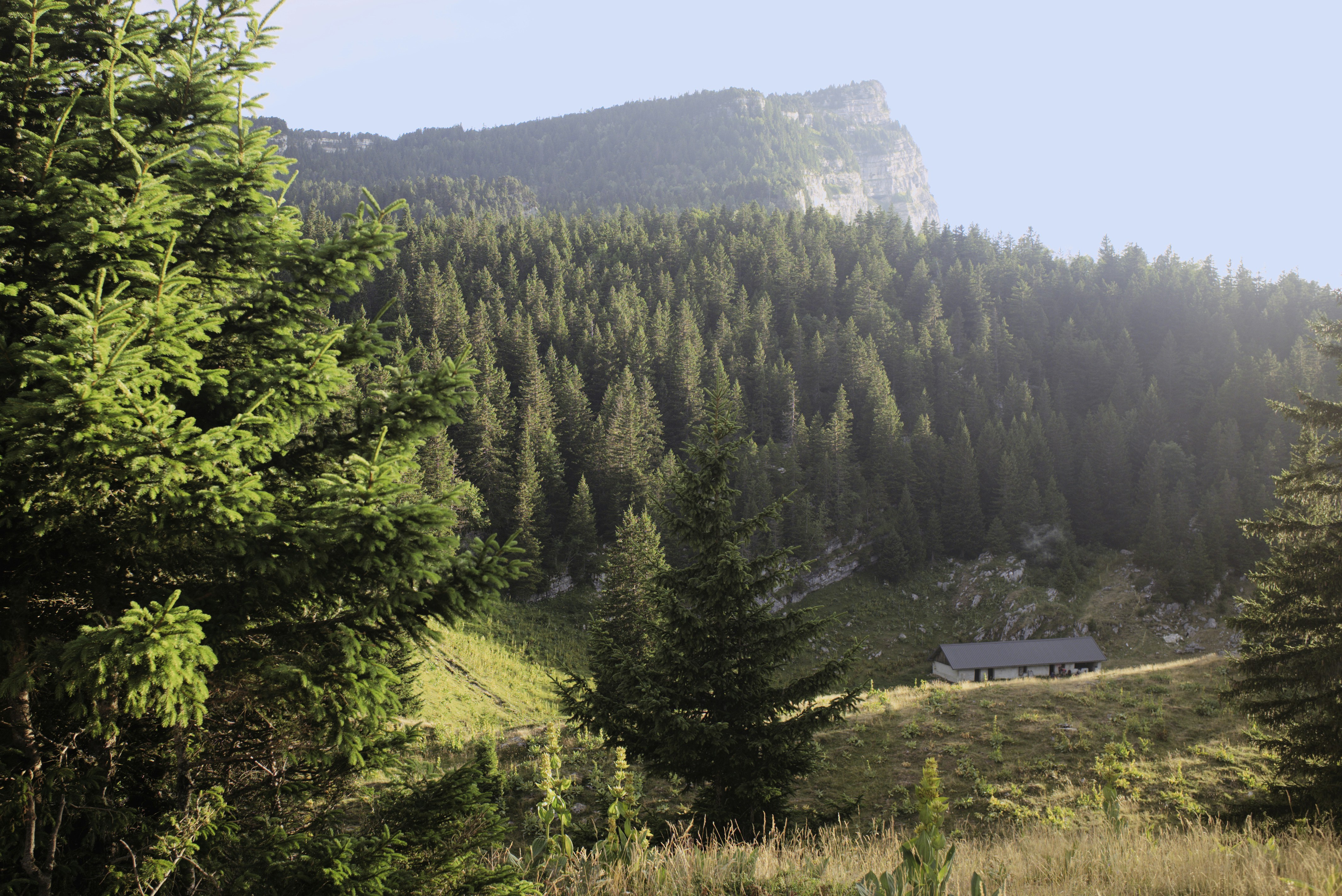 Photo by thomastygreat