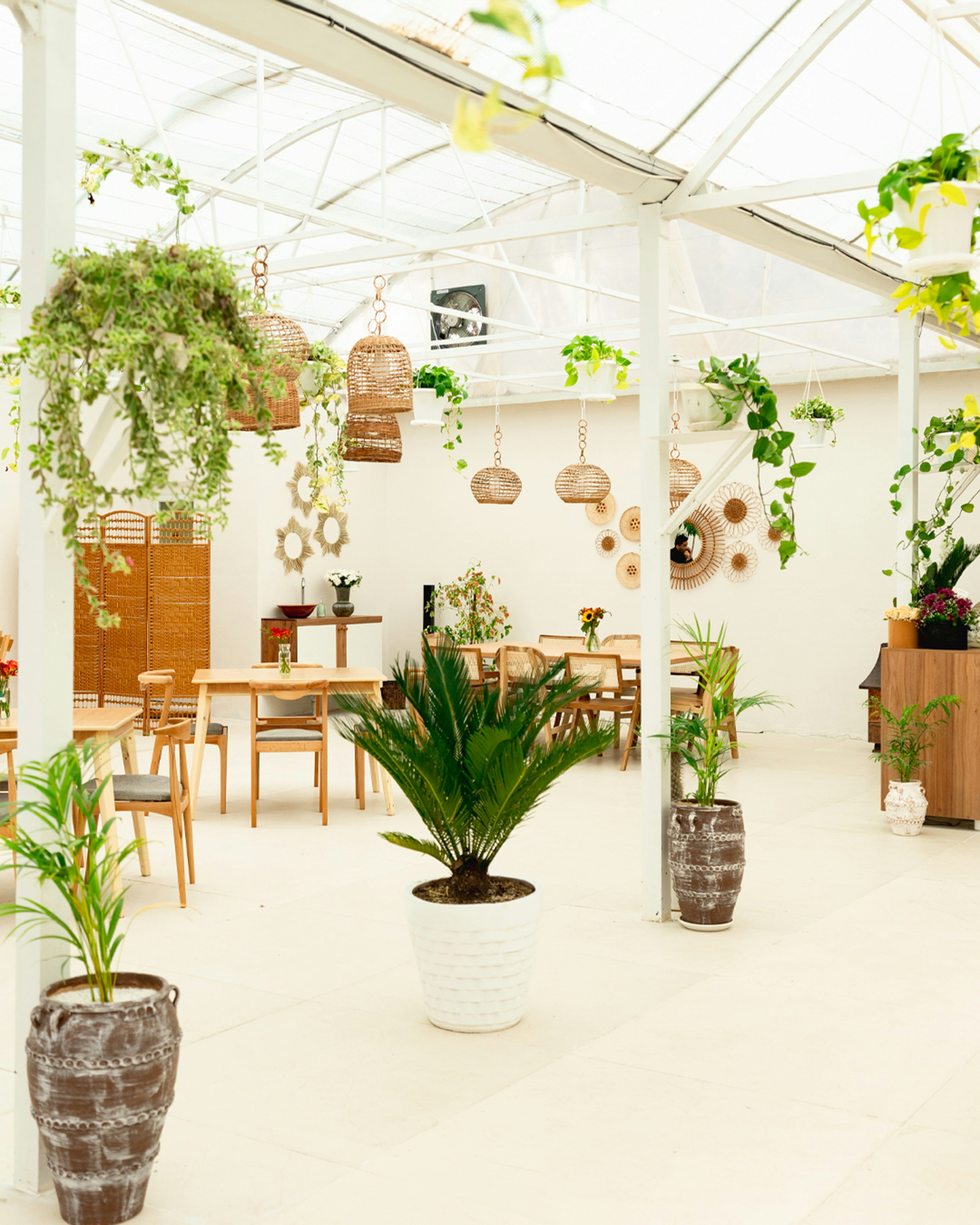 Bright greenhouse cafe with plants and tables