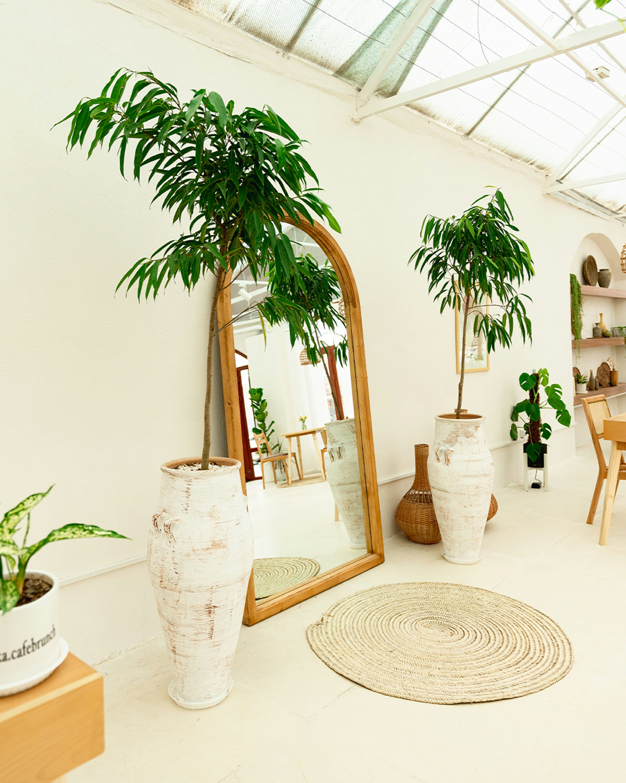 Tall mirror with potted plants in a bright room