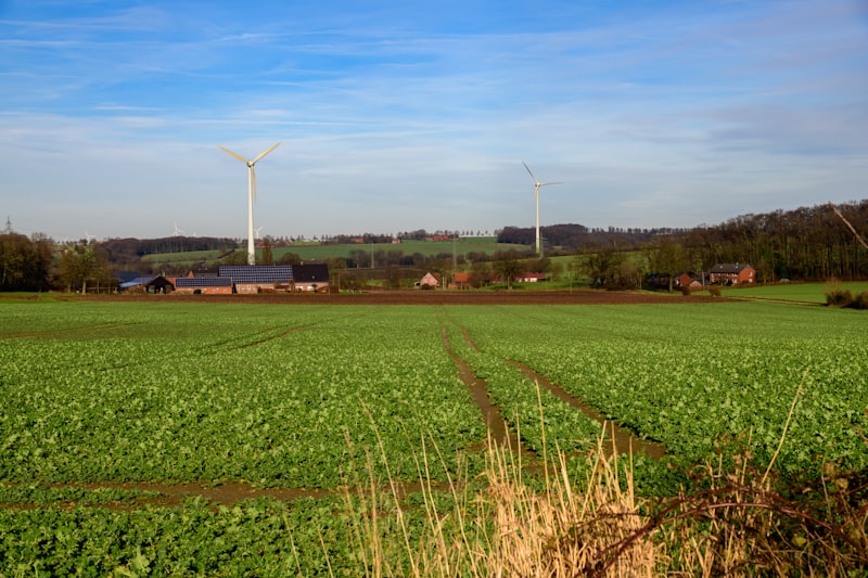 Нові перовскітні сонячні панелі досягли рекордної ефективності 33.7%