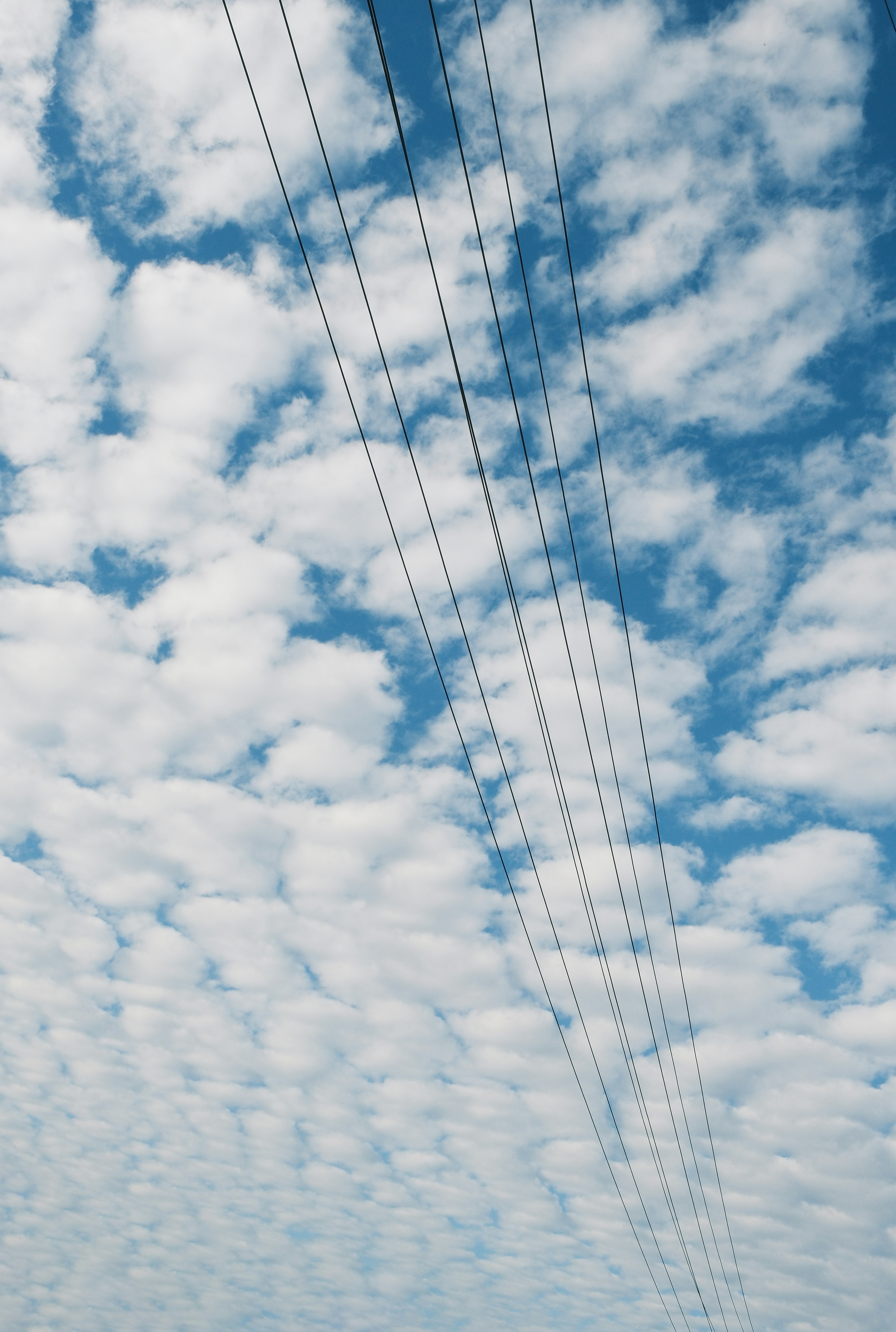 Power lines against a cloudy blue sky