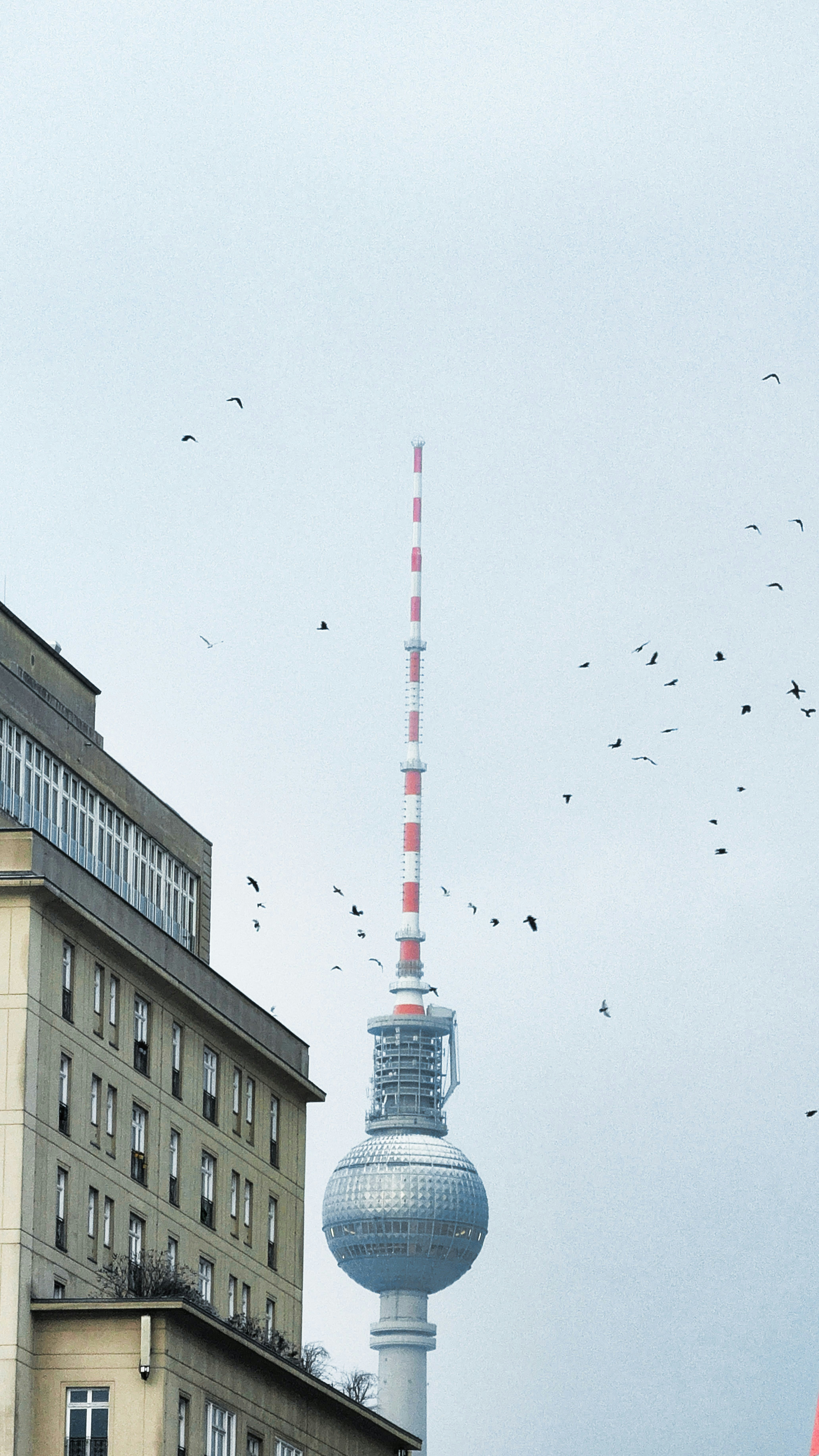 Television tower with birds flying against cloudy sky.