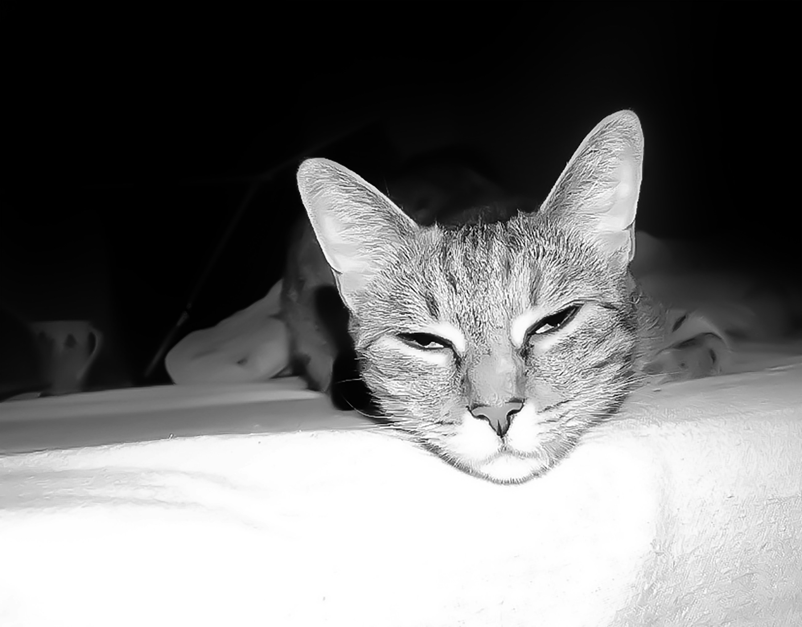 Photo by thorai9akira