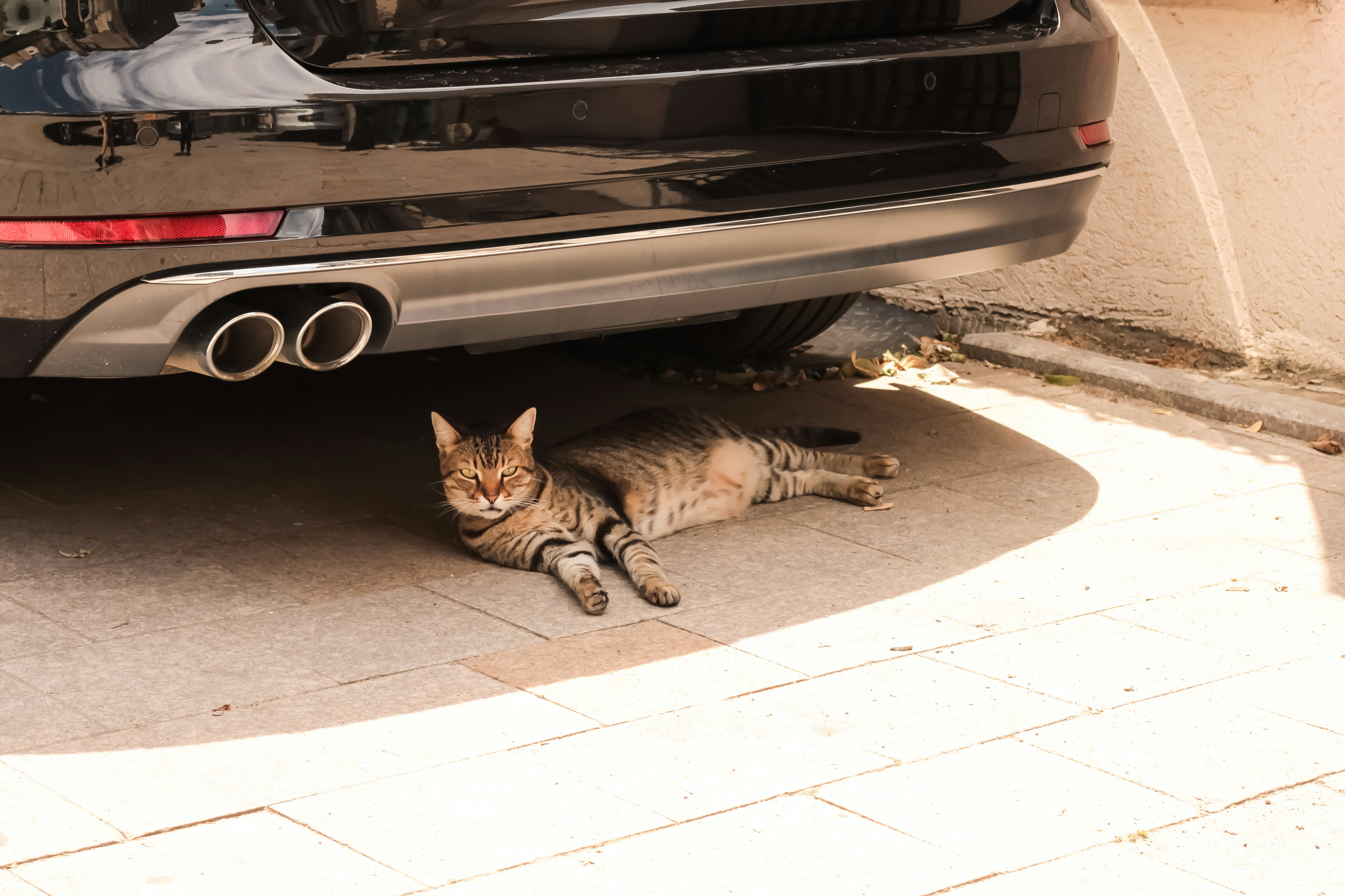 Photo by thorai9akira