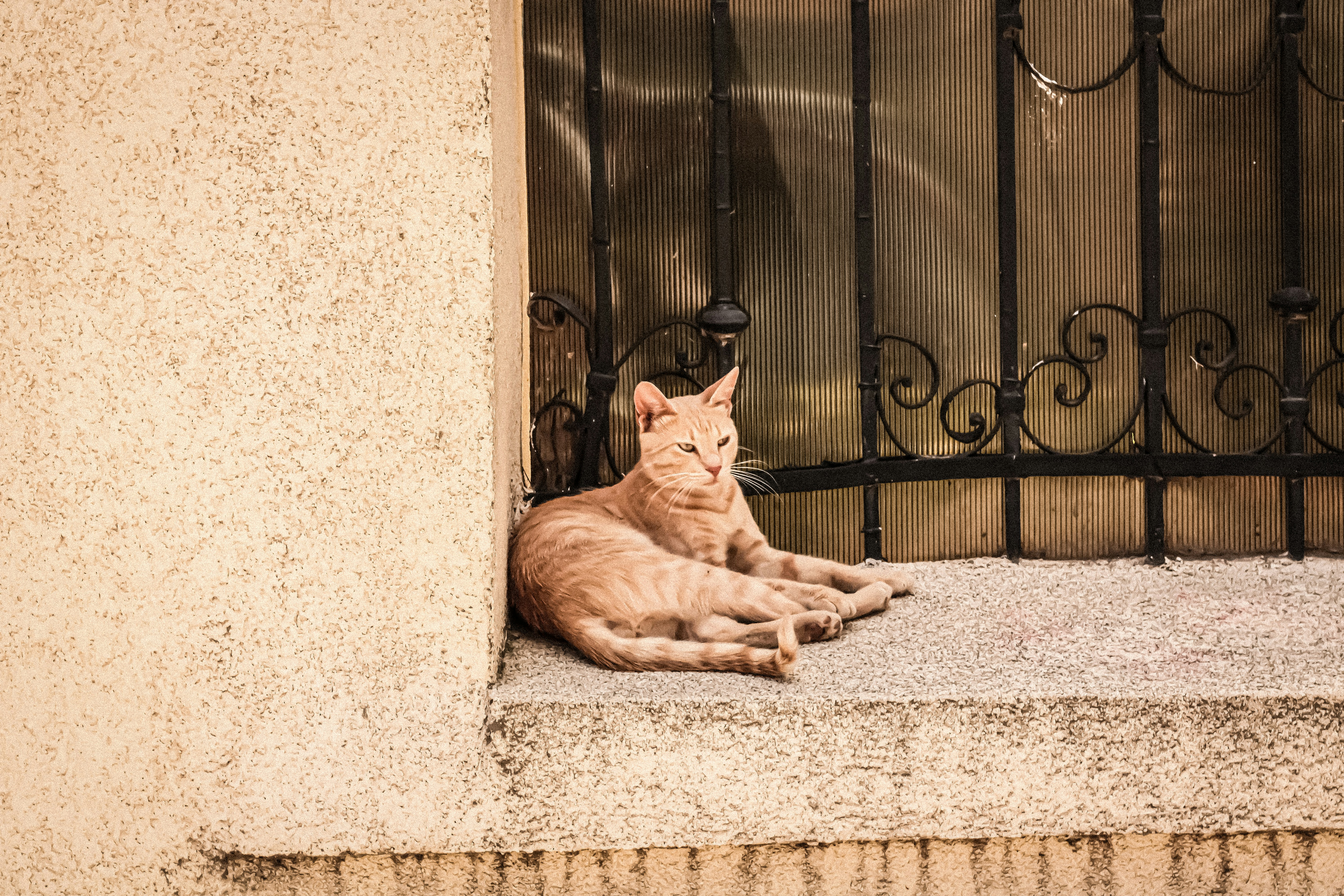 Photo by thorai9akira