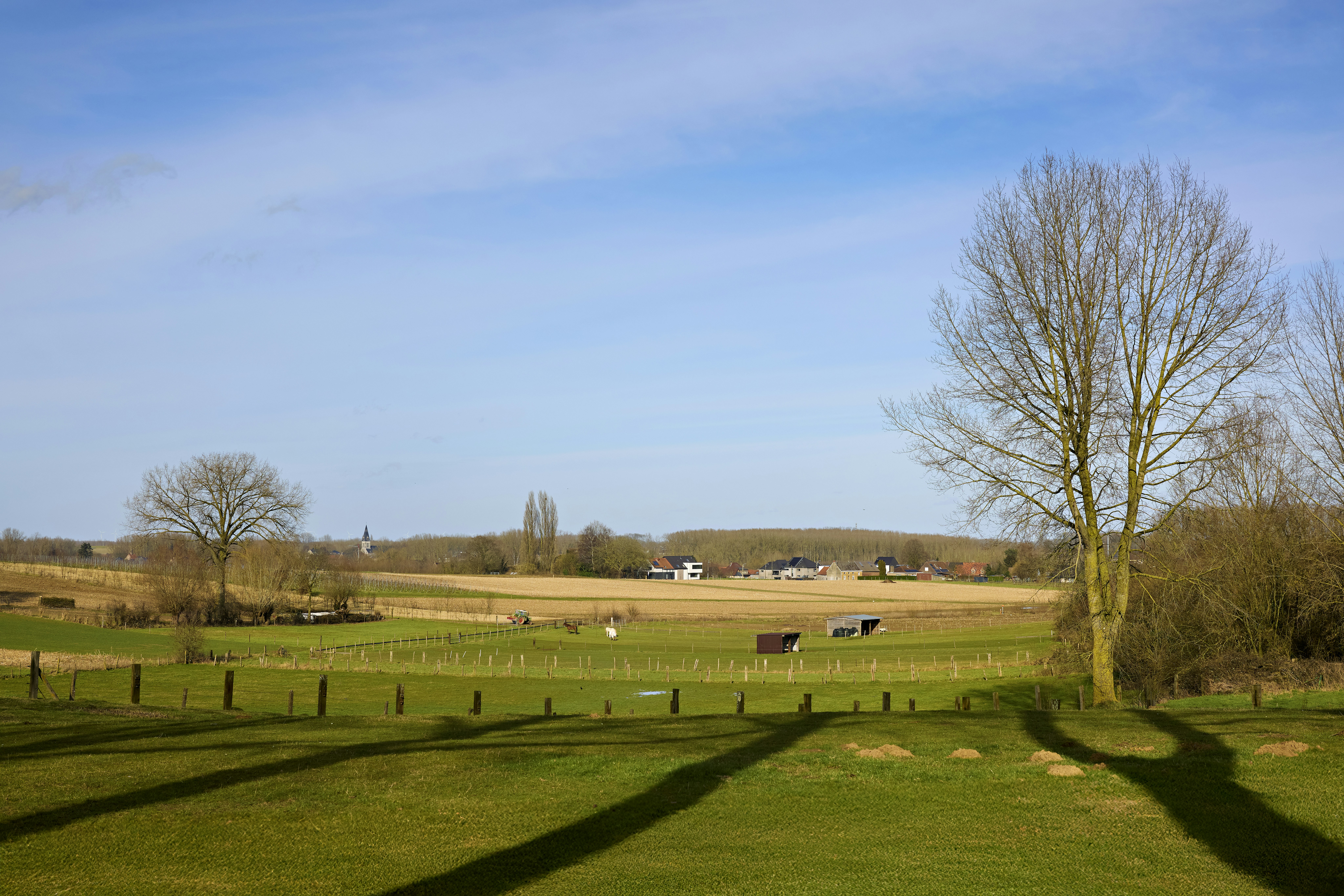 Photo by erwinbosman