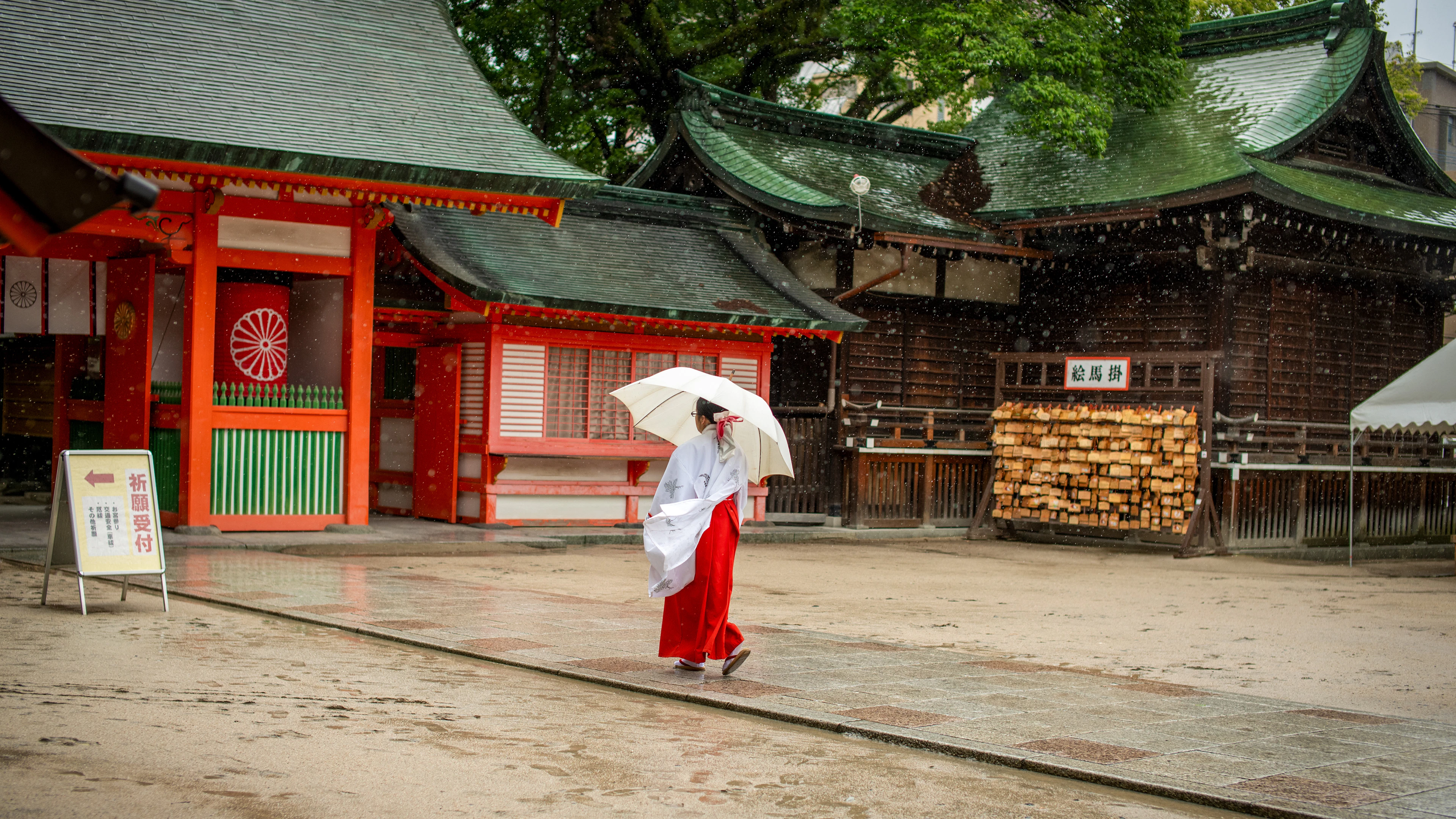 A shrine attendant in red and white walks across a rain-soaked courtyard under a white umbrella.