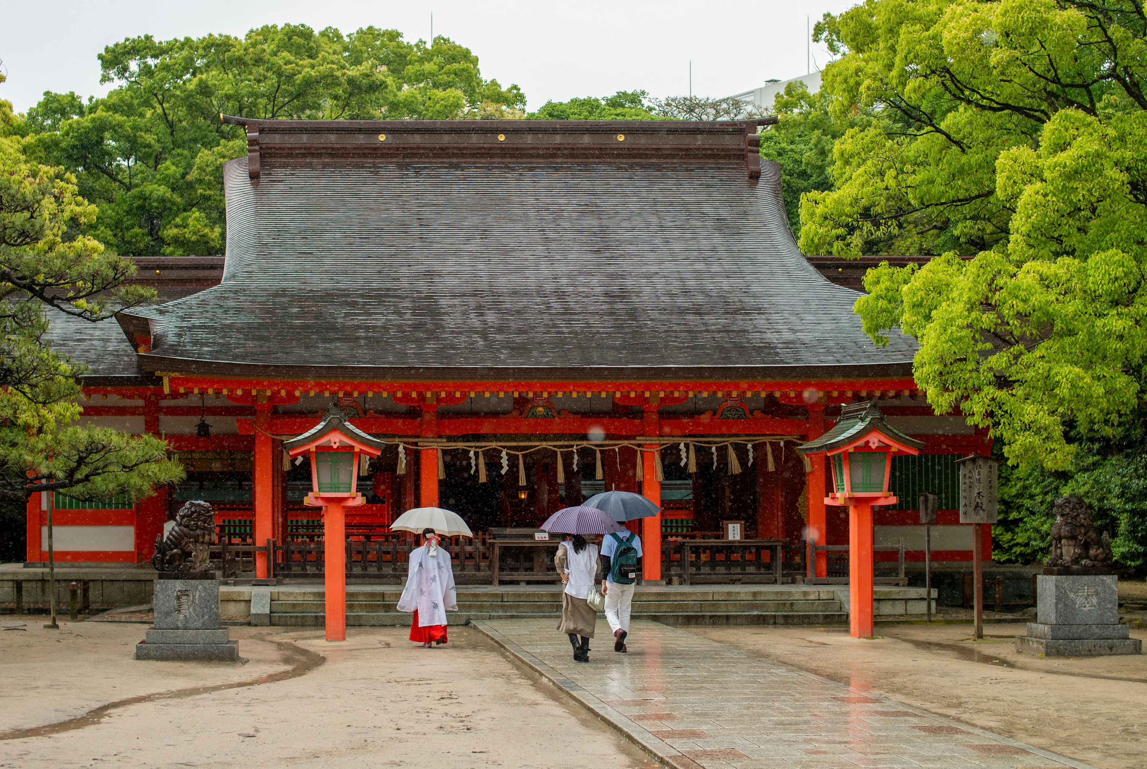 Two visitors with umbrellas walk toward a red shrine hall in the rain.