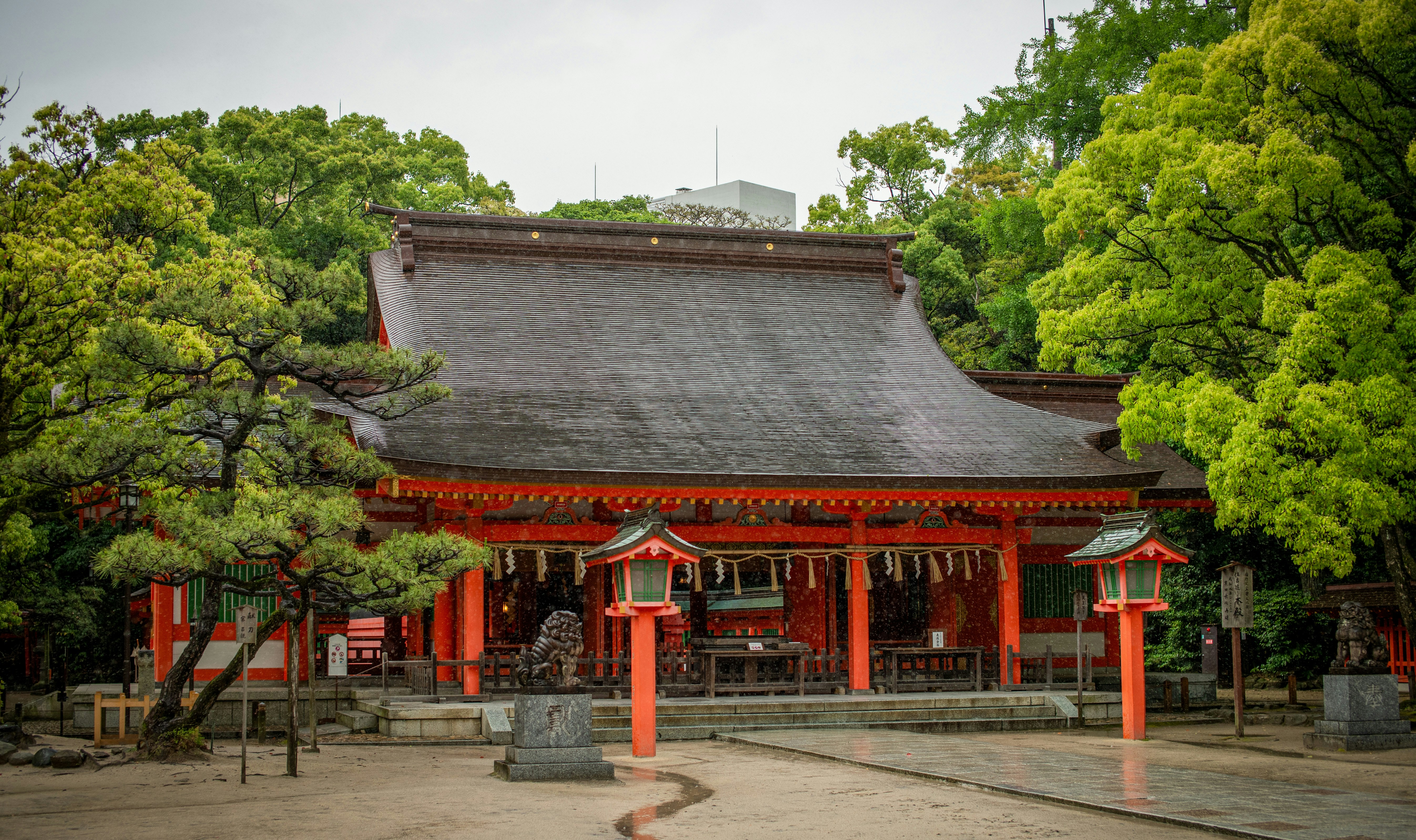 Photo by stadinstudio