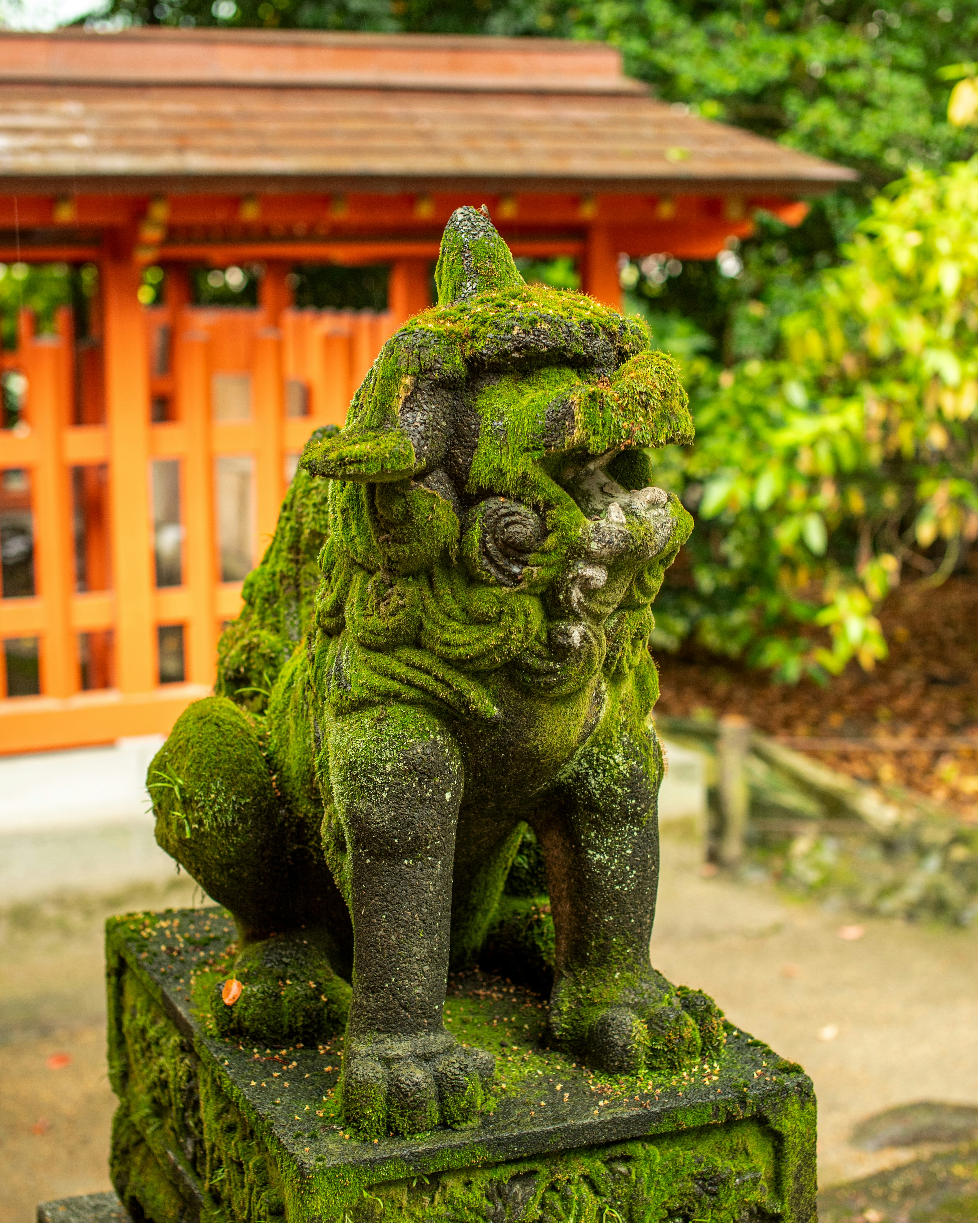 Photo by stadinstudio