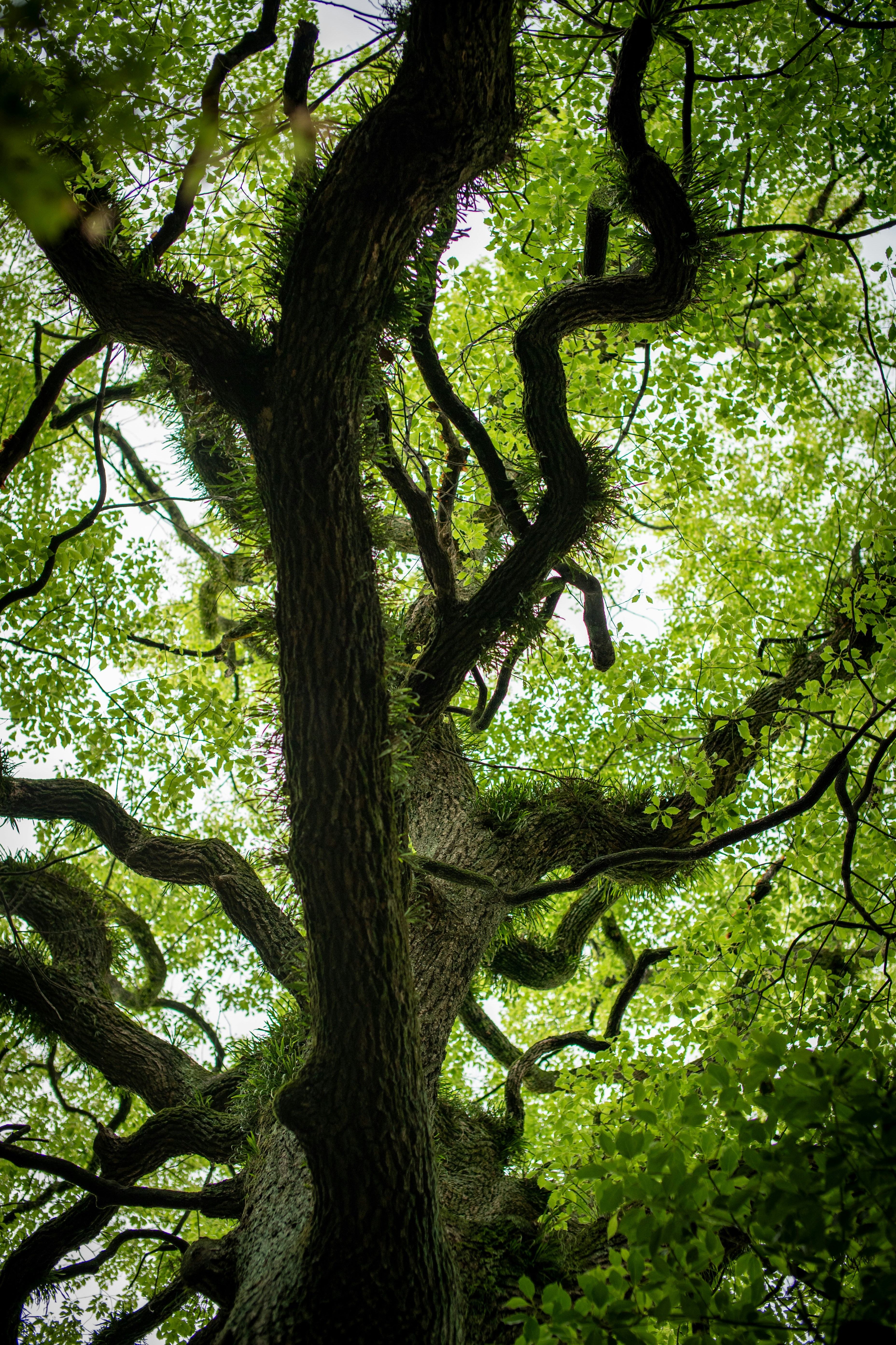 Photo by stadinstudio