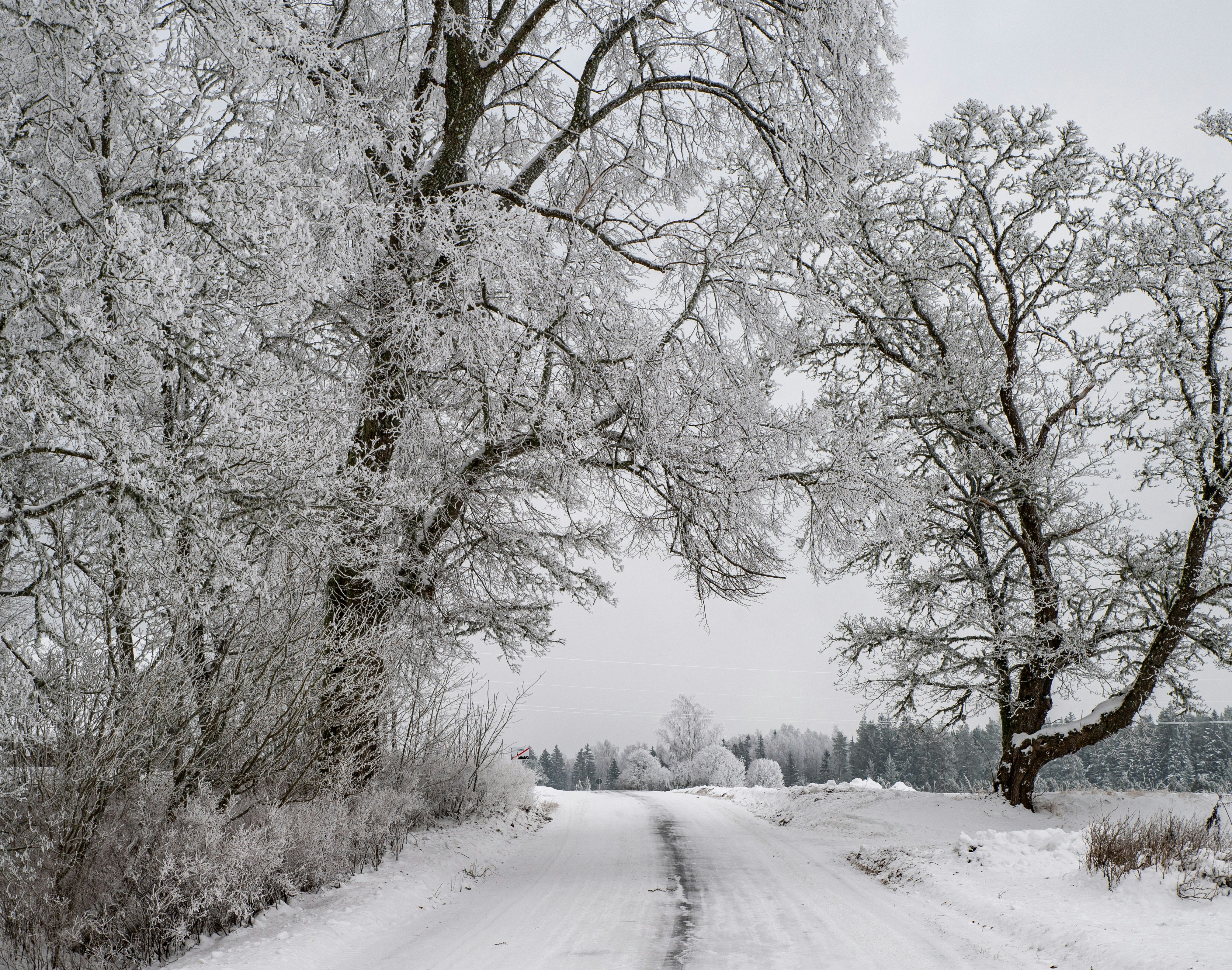 Photo by stadinstudio