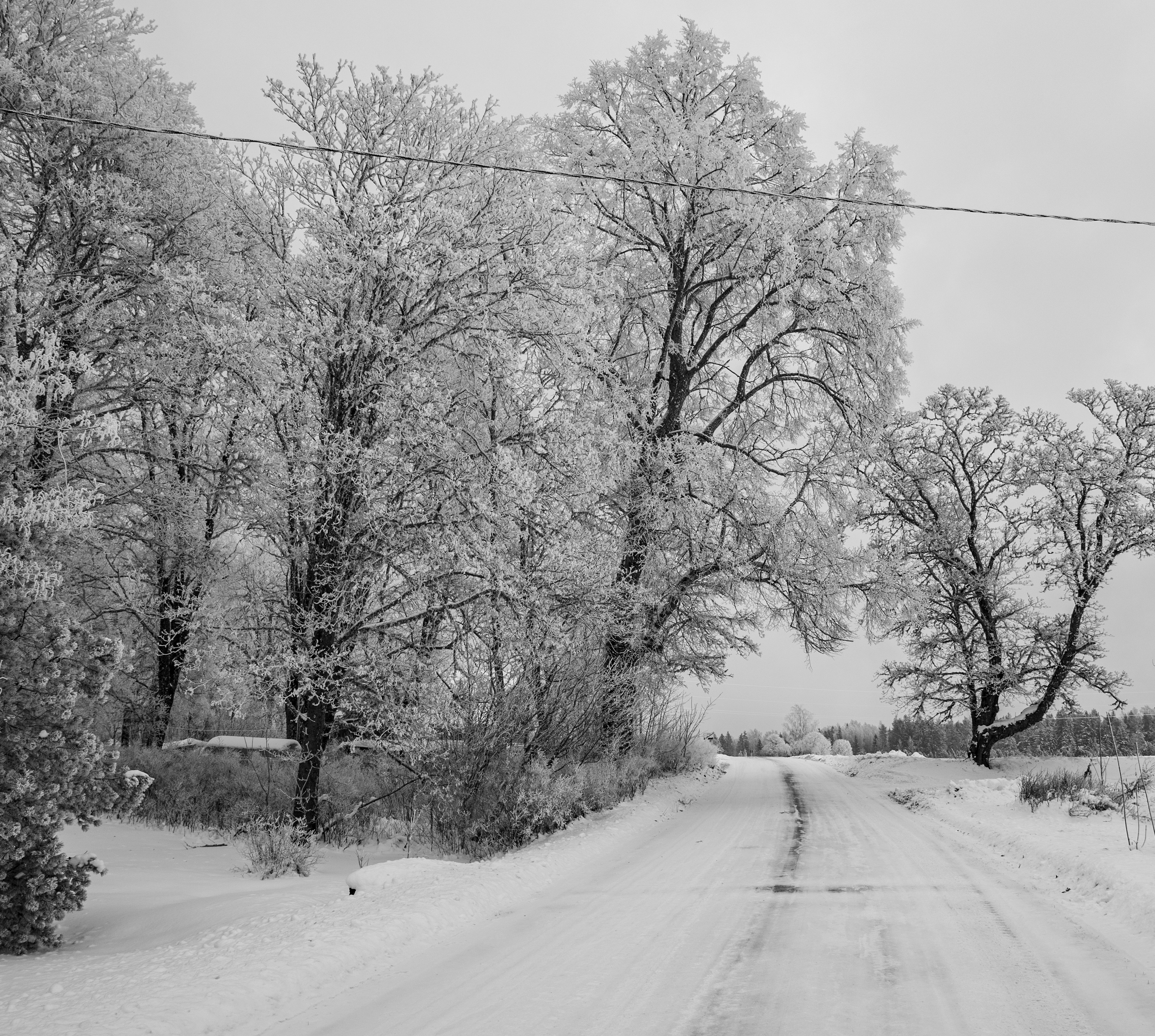 Photo by stadinstudio