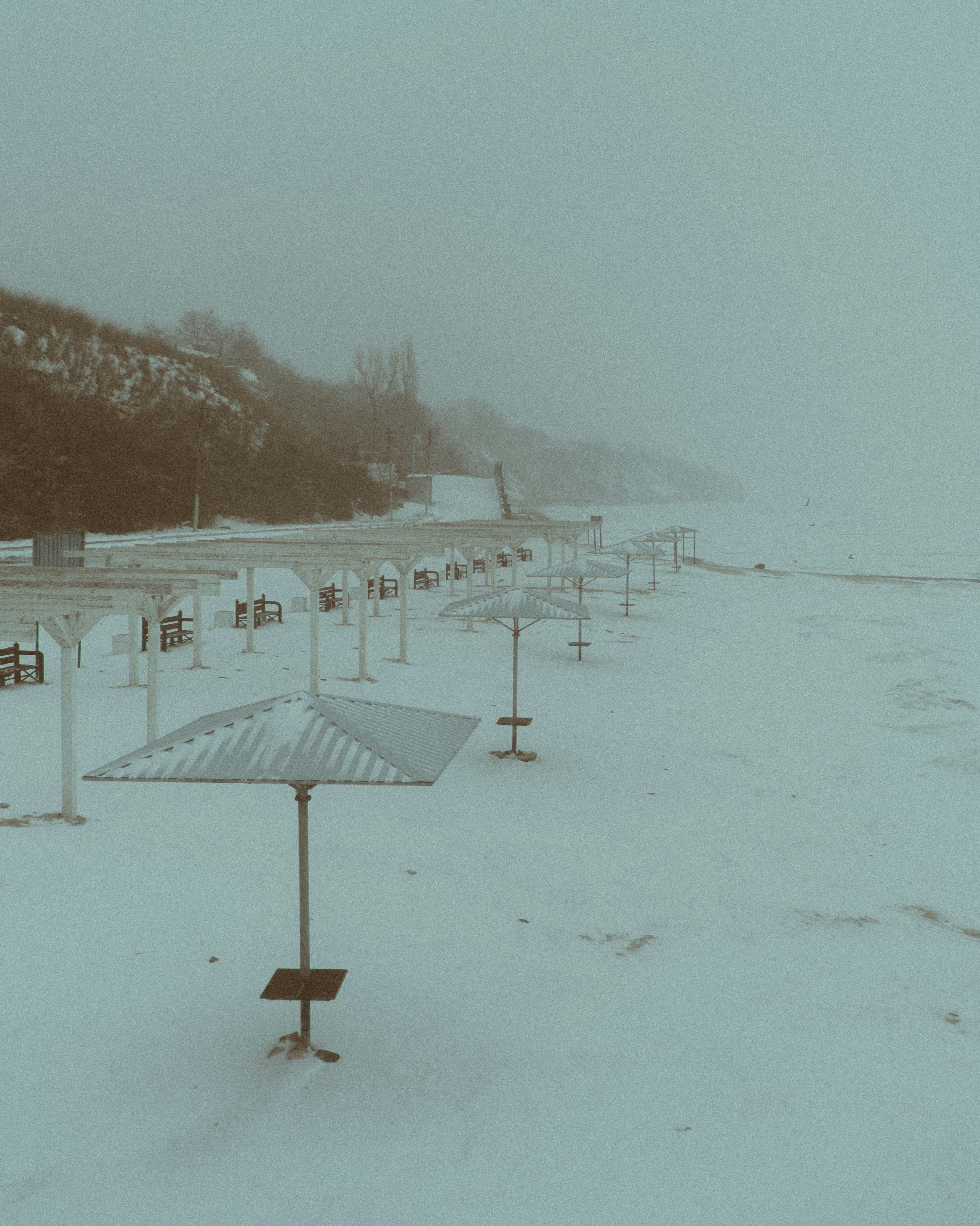 Empty beach umbrellas covered in snow on a foggy day