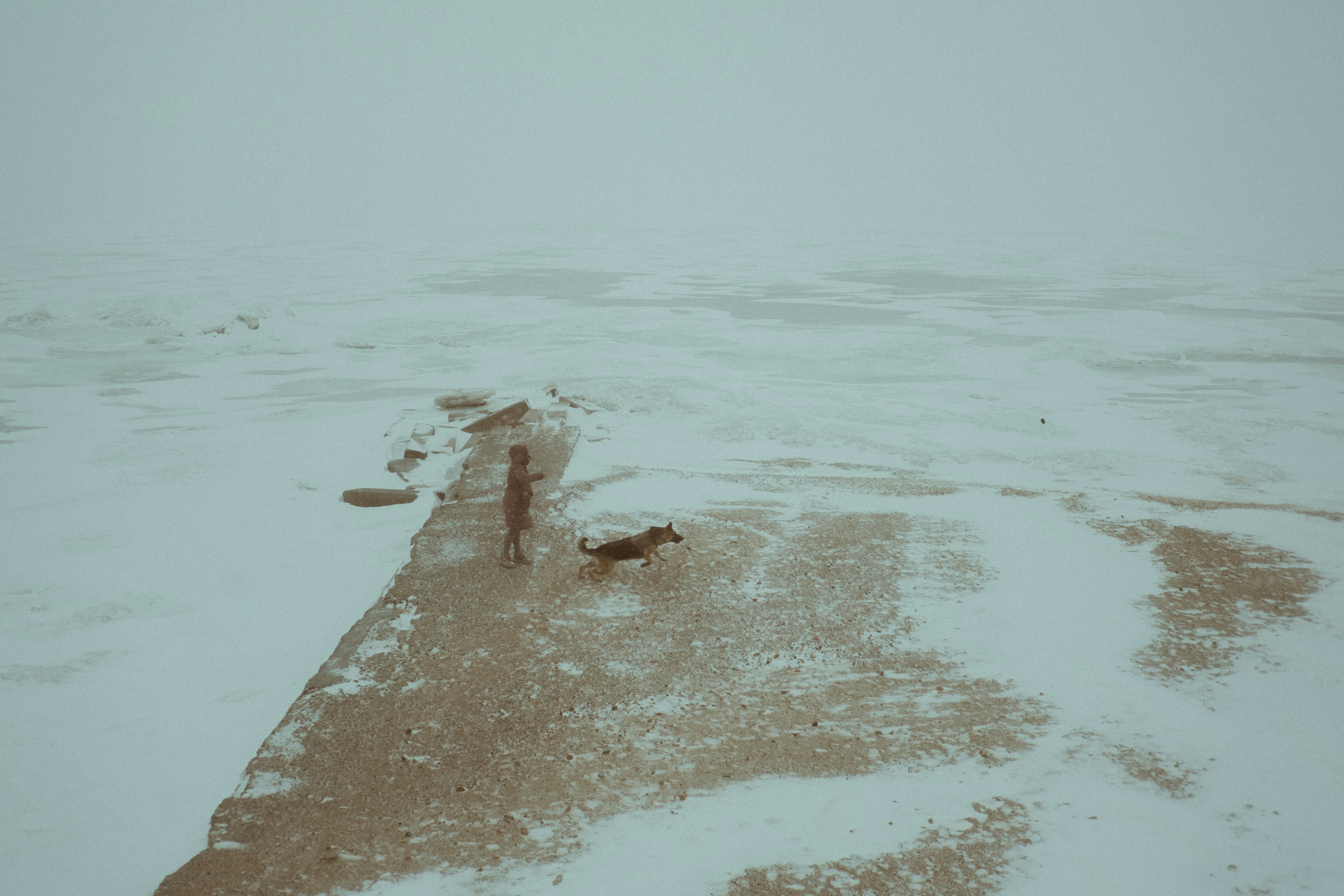 A person and dog walk on a snowy path