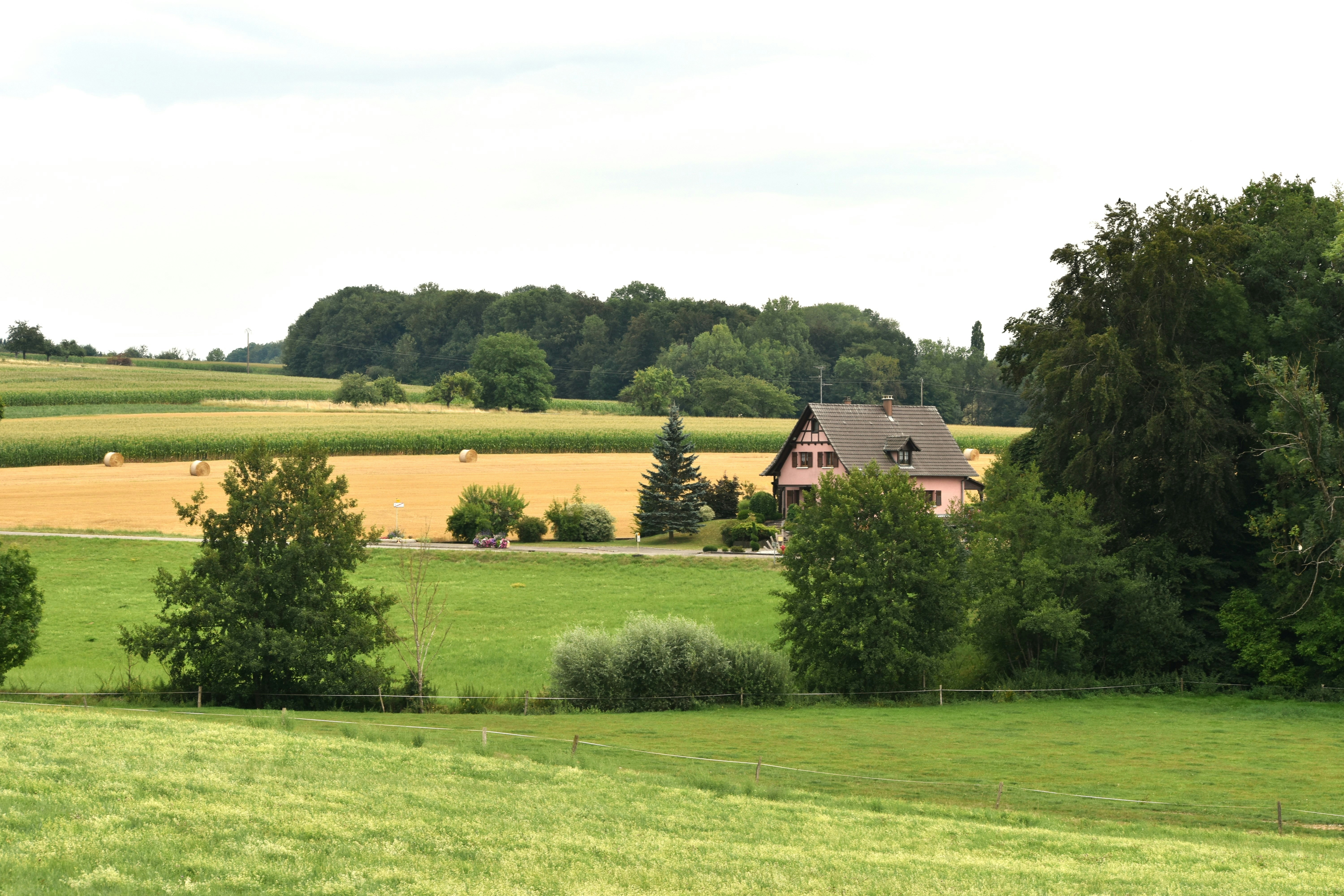 Photo by danielelarosa