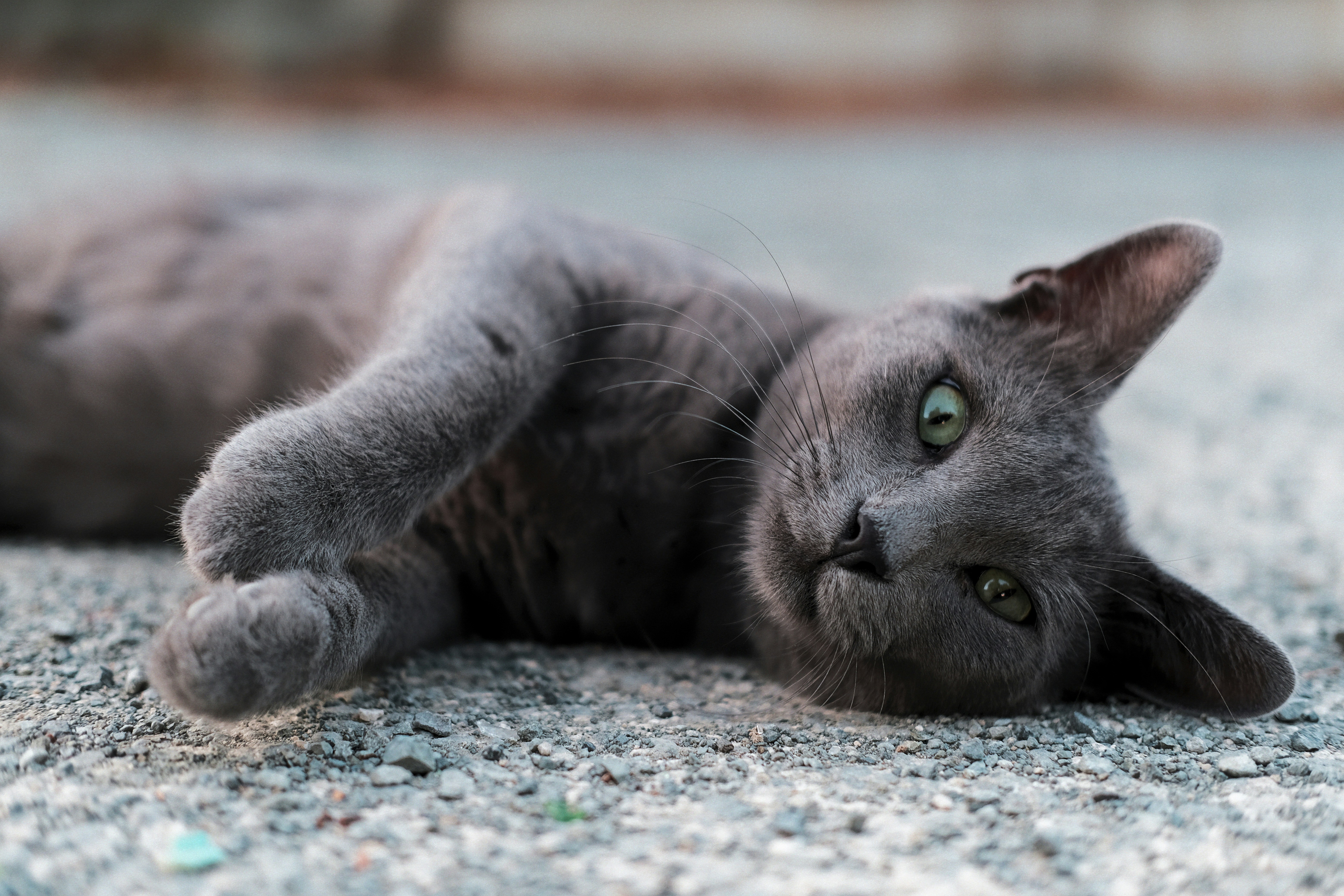 Photo by yukophotography