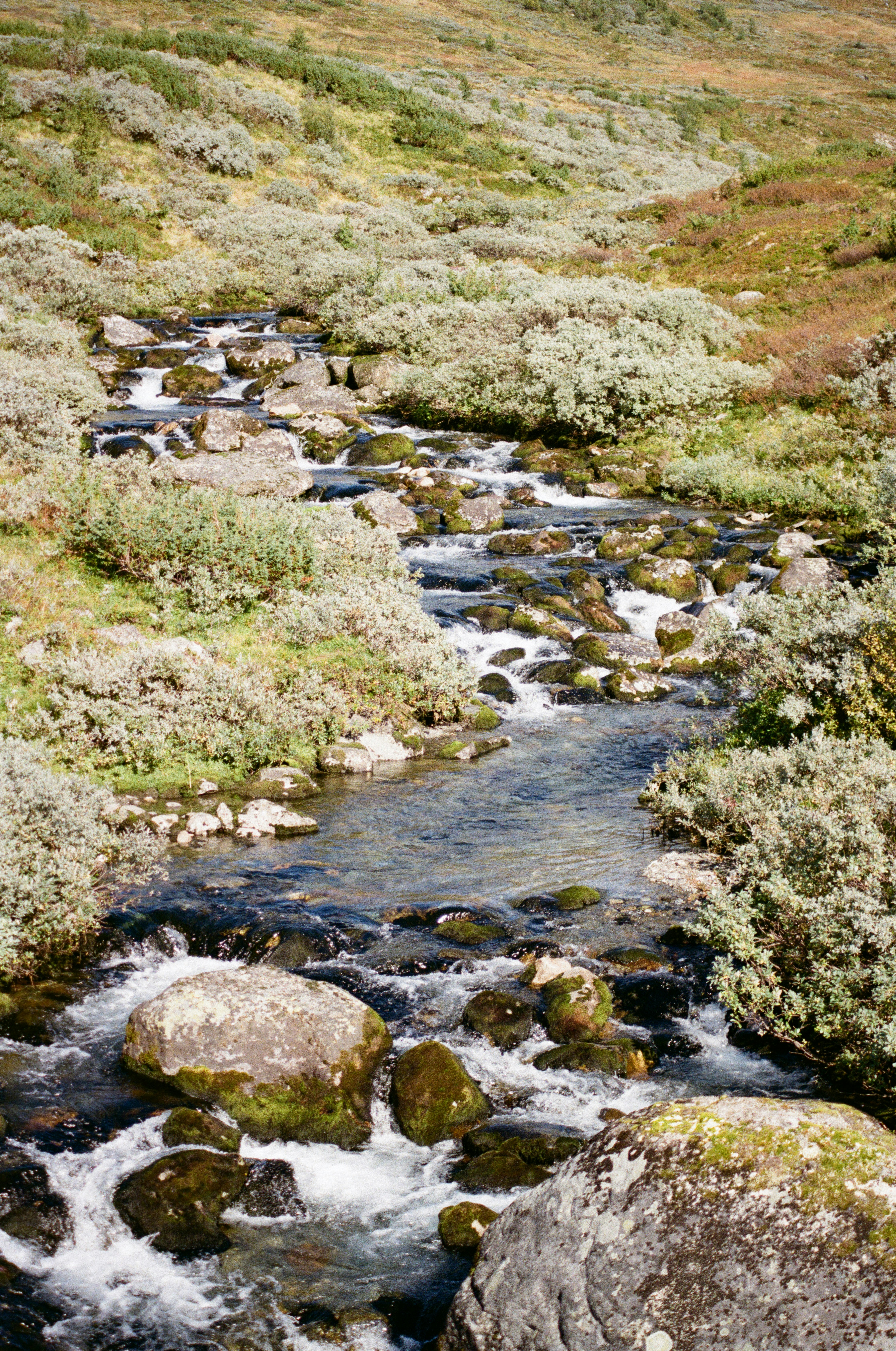 Photo by bernhardbar