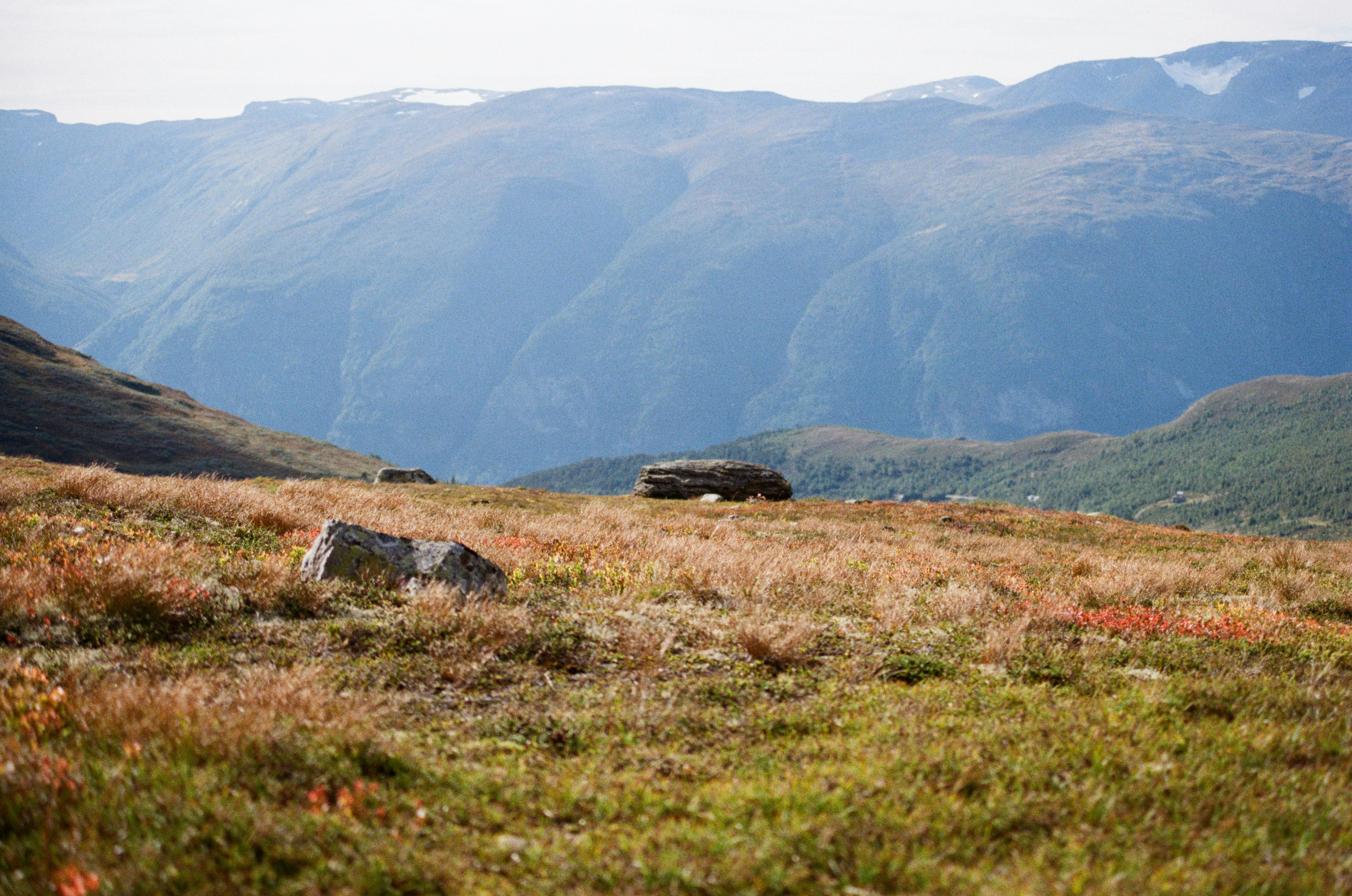 Photo by bernhardbar