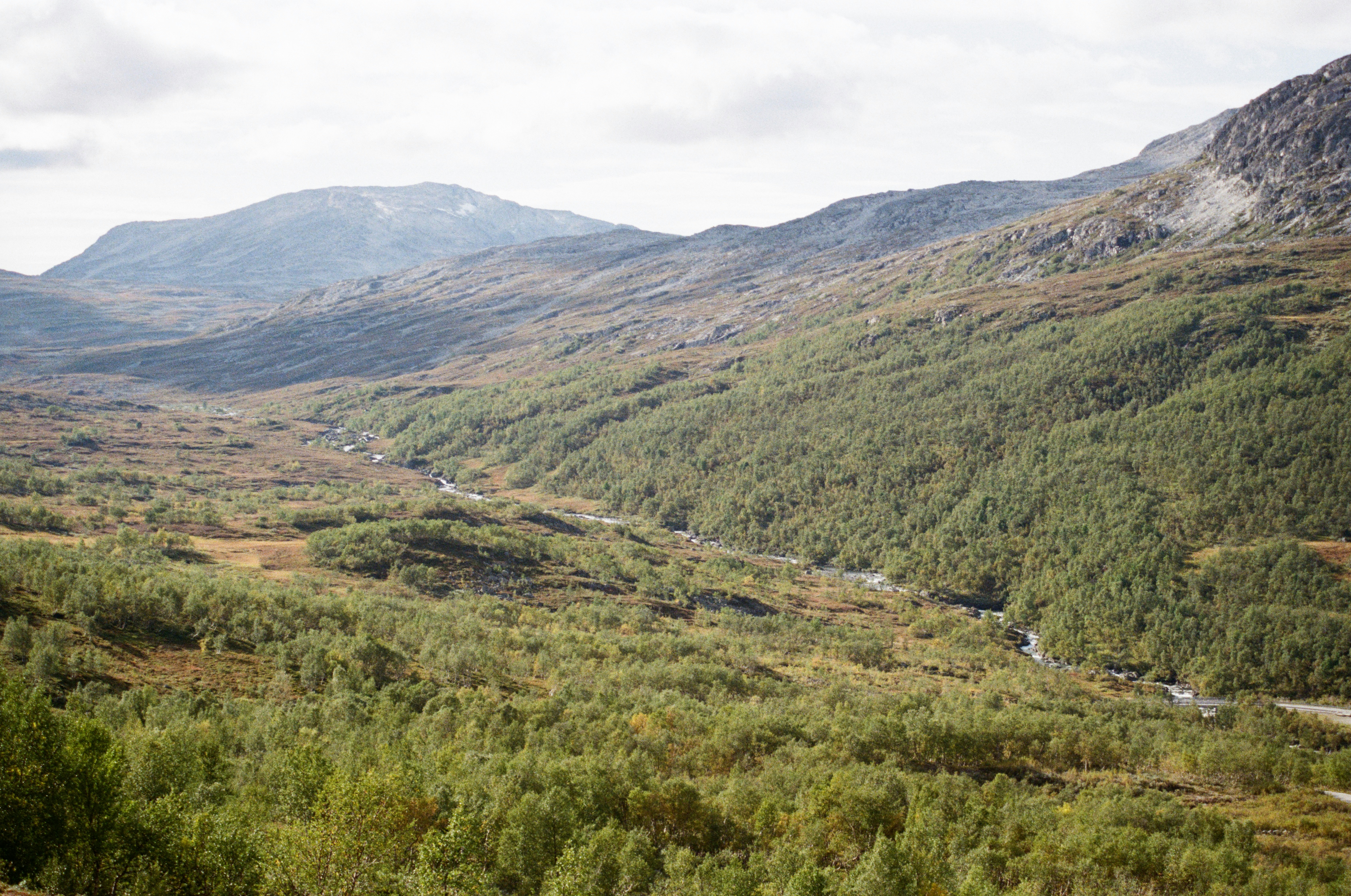 Photo by bernhardbar