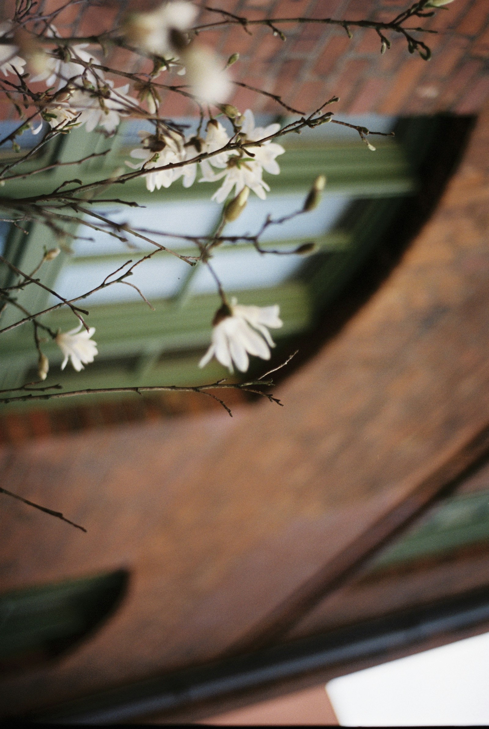 📊 Waterloo Region Real Estate Market Update: What Buyers and Sellers Should Expect This Spring 2026