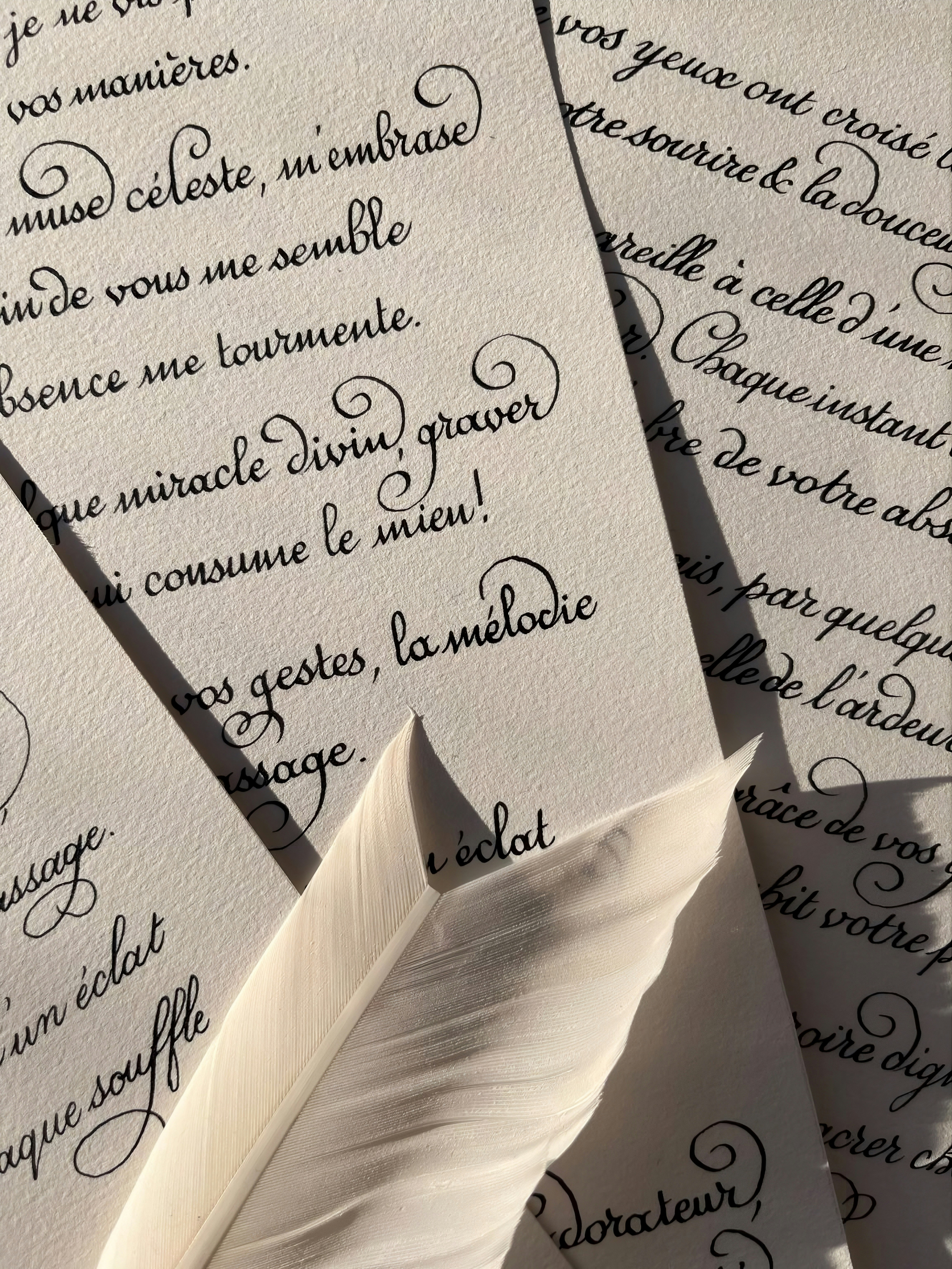Close-up of handwritten calligraphy with a feather quill.