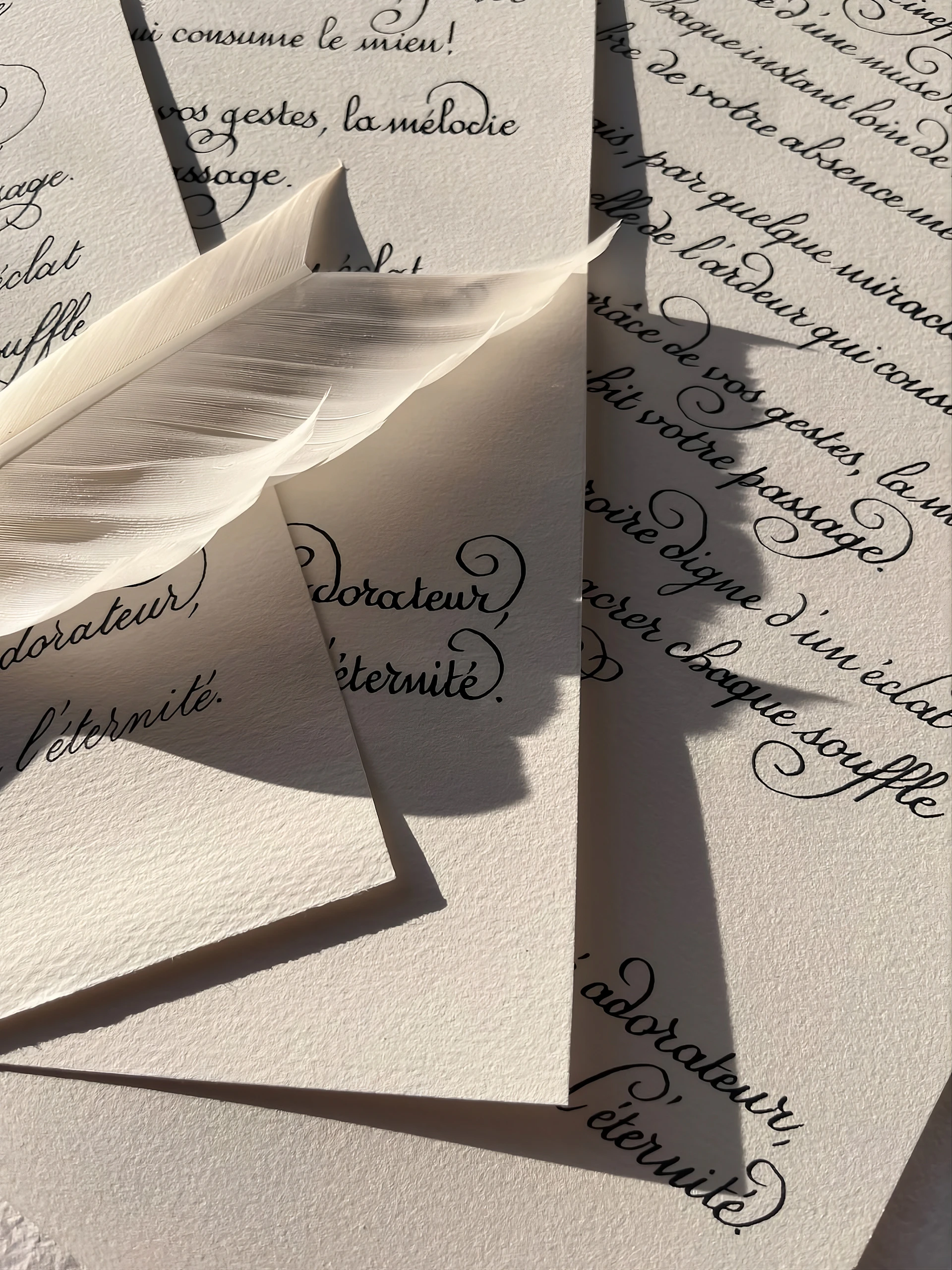 A white feather rests on handwritten calligraphy.