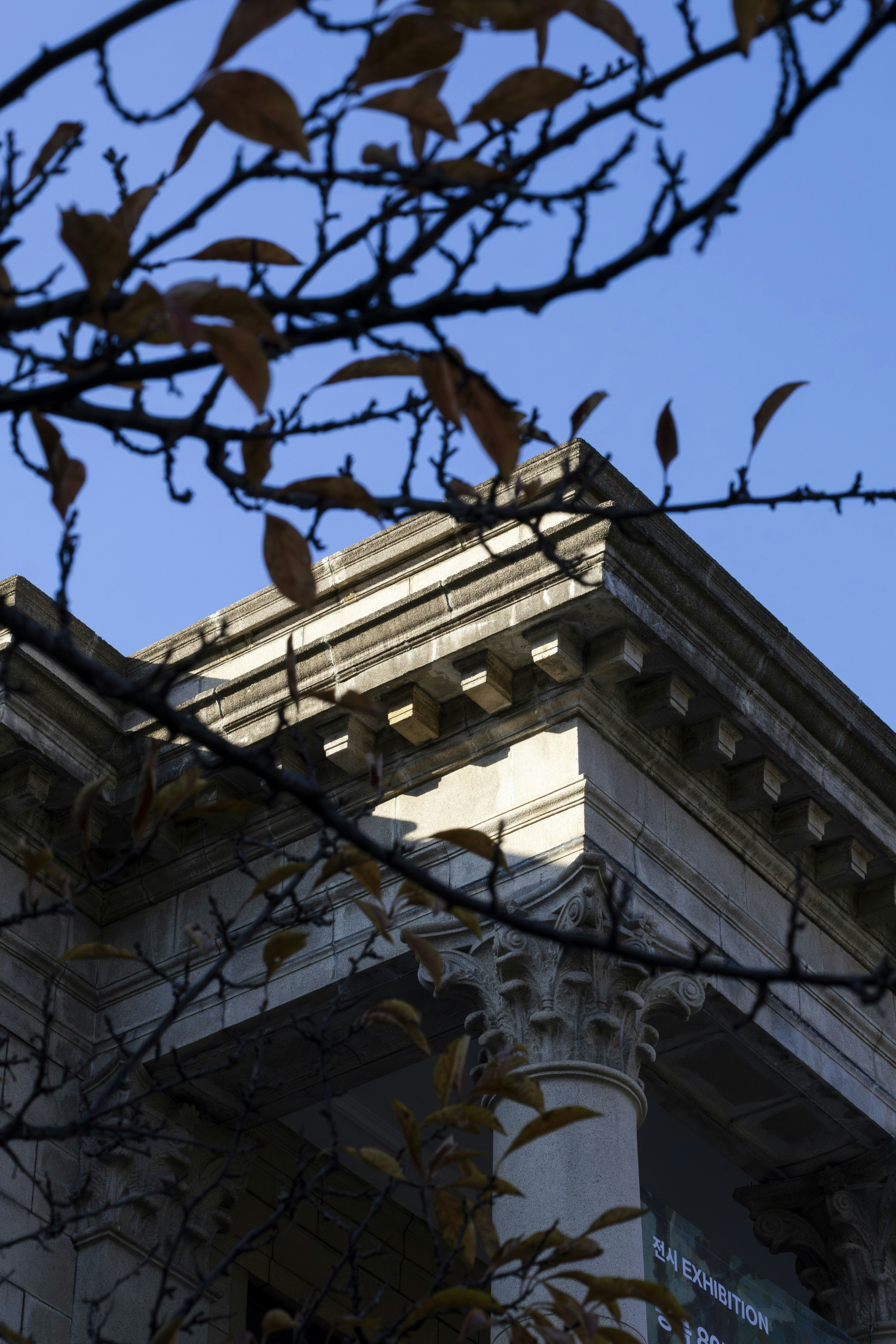 Photo by yangluhan091