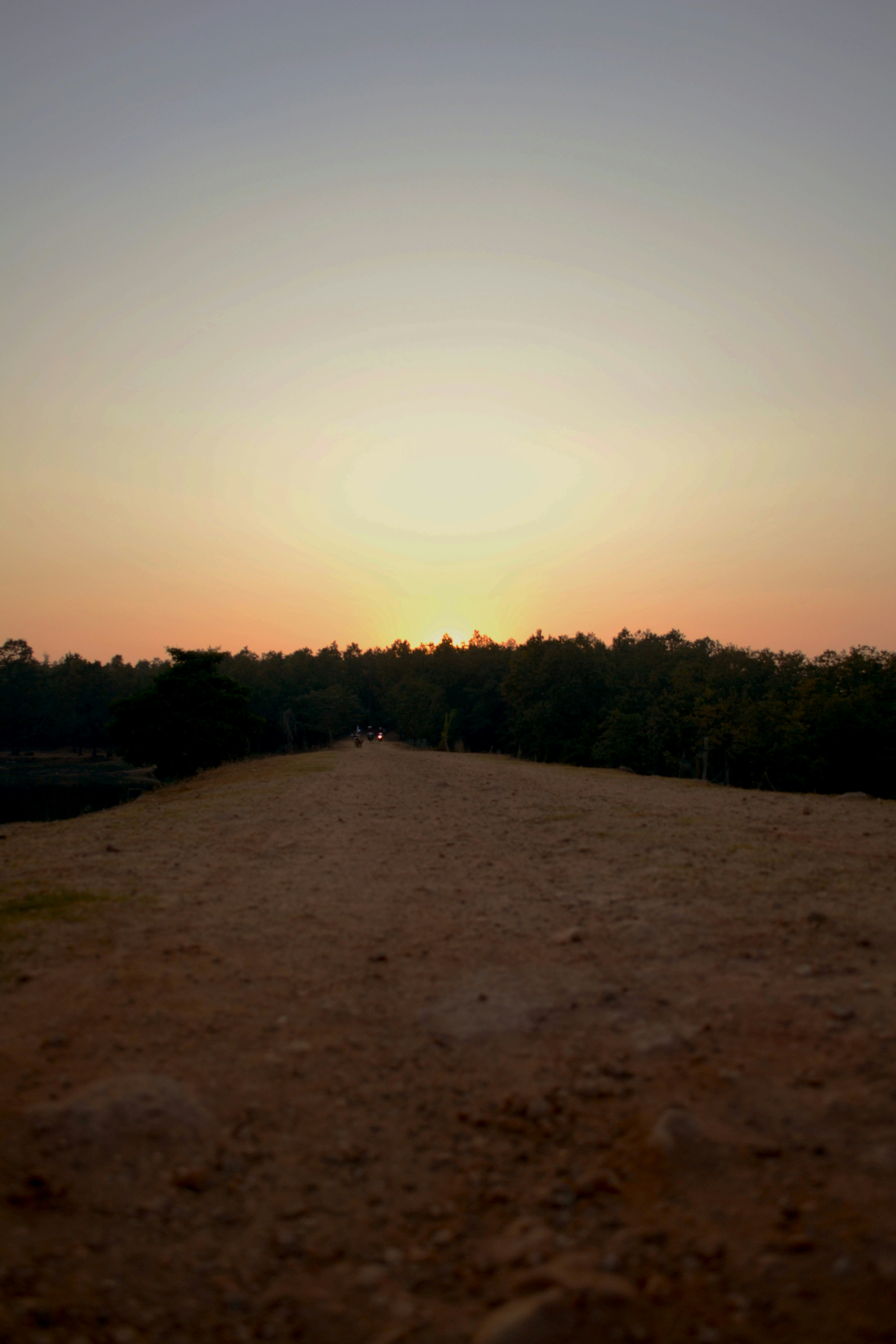 Sunset over a dirt road with trees
