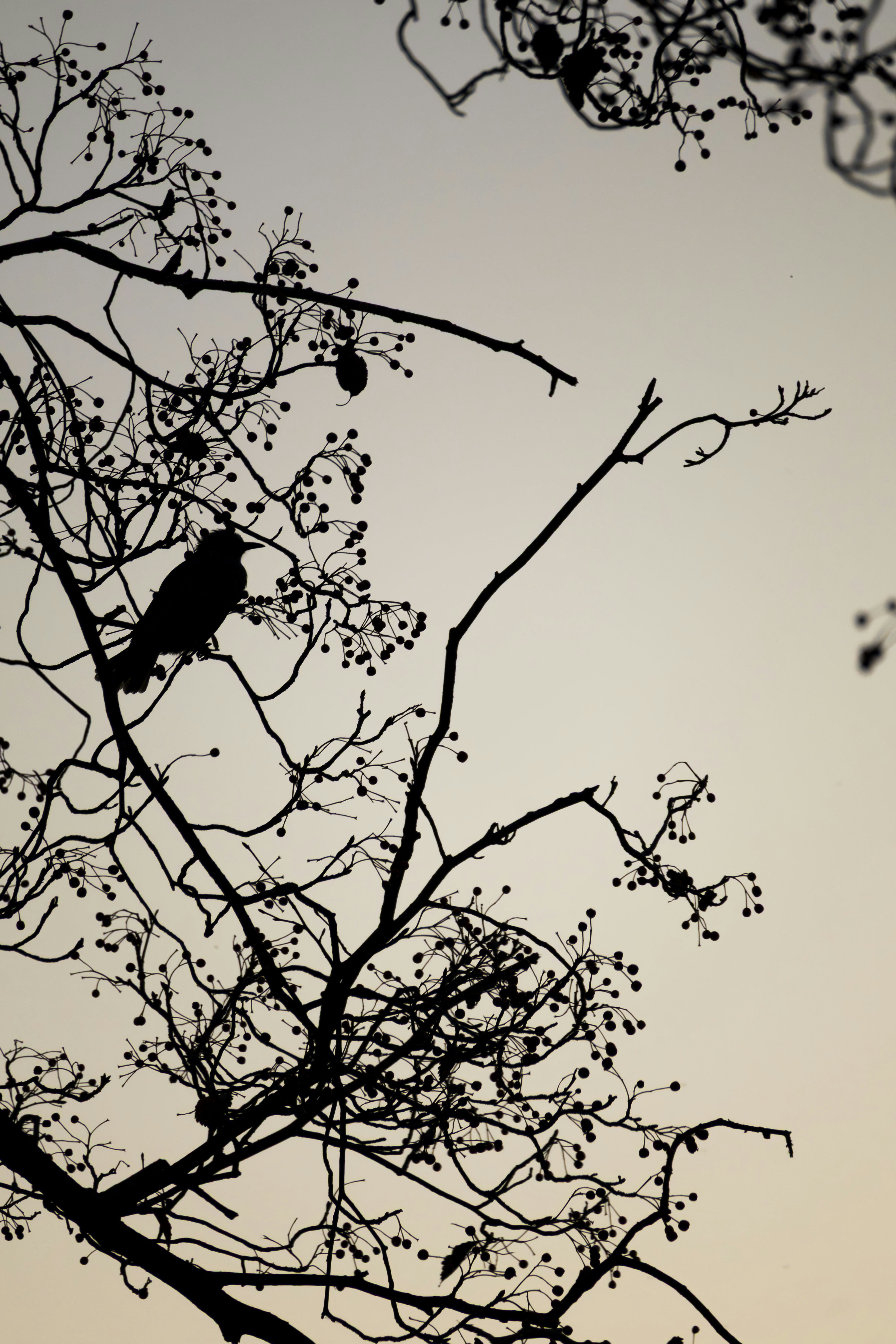 Photo by yangluhan091