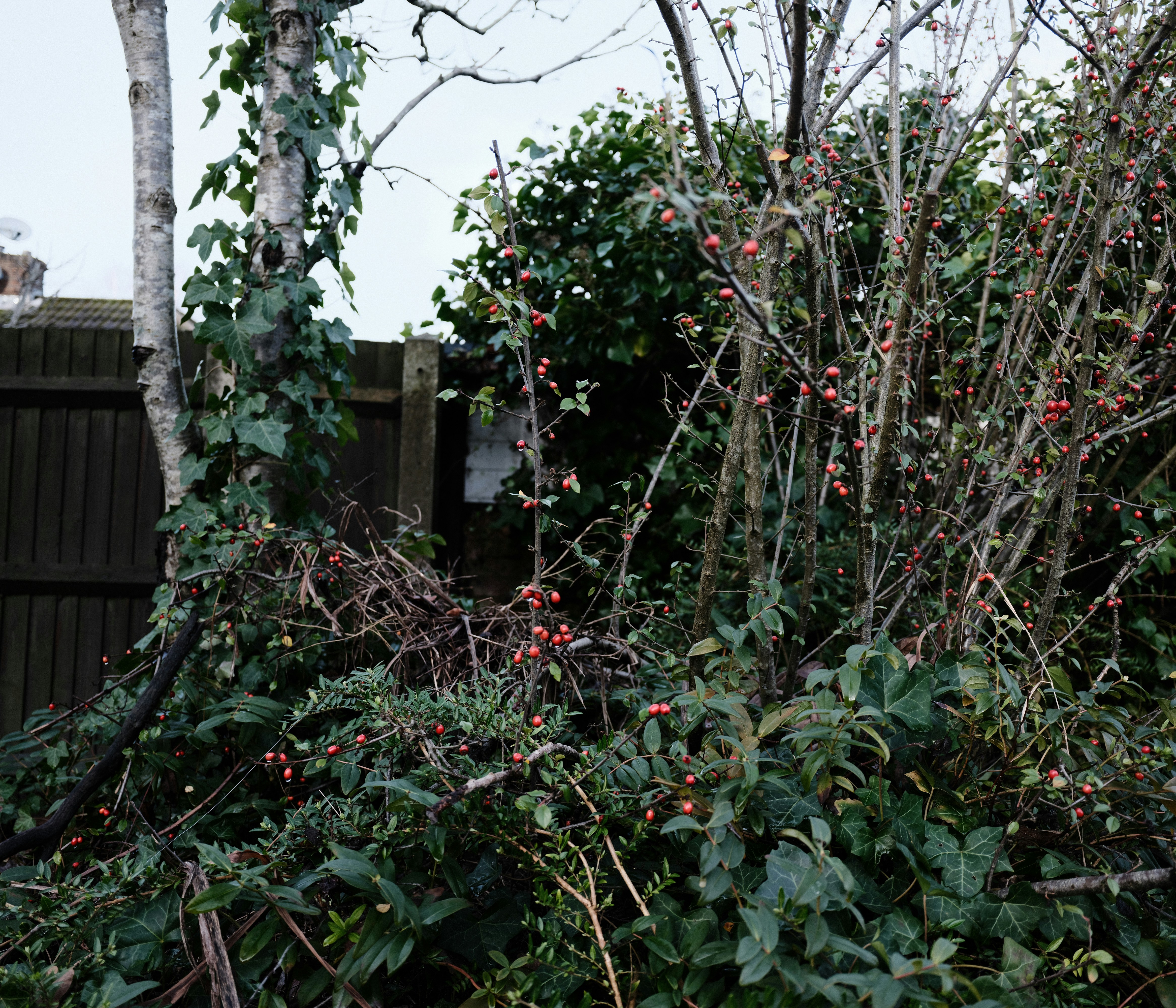 Photo by tanyabarrow