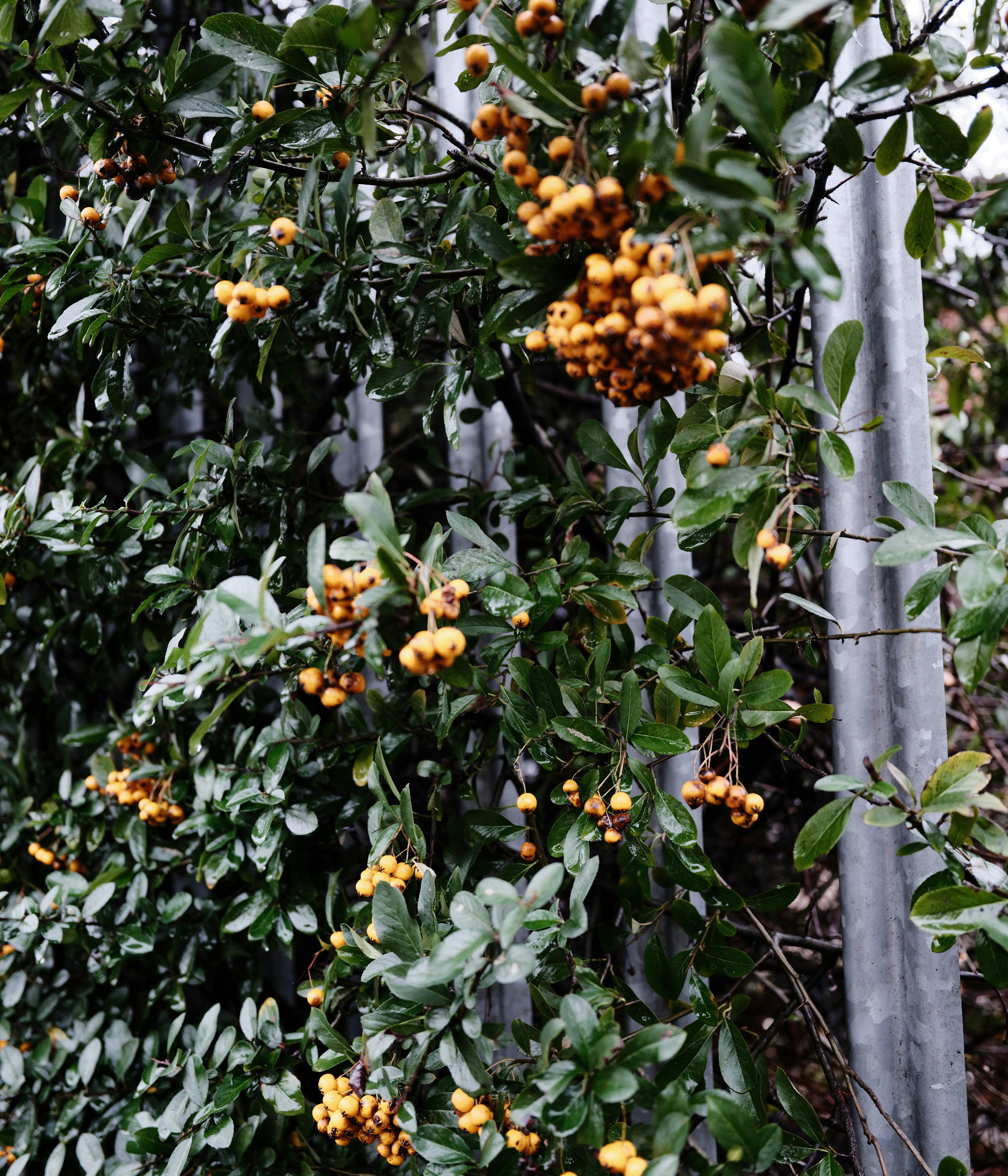 Photo by tanyabarrow