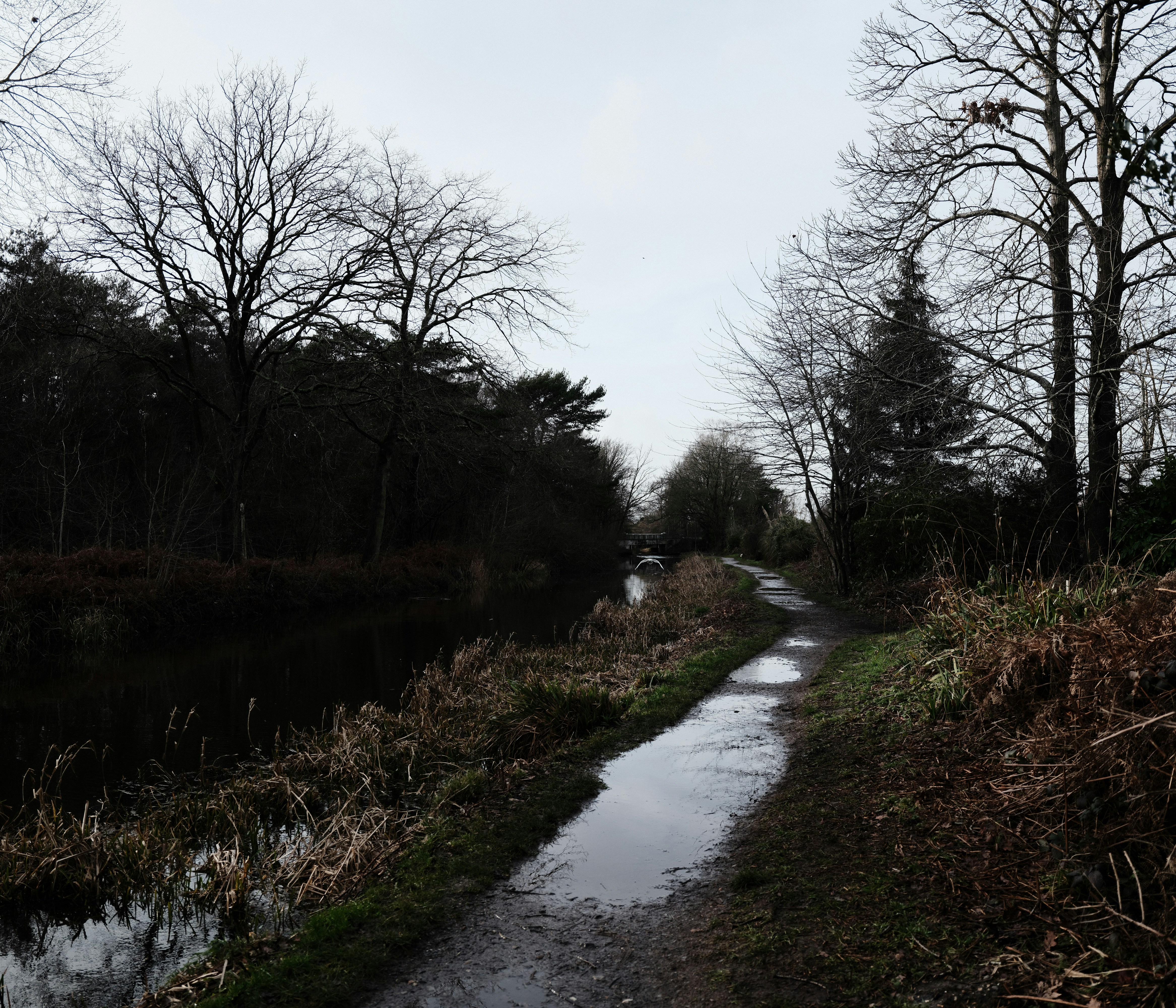 Photo by tanyabarrow