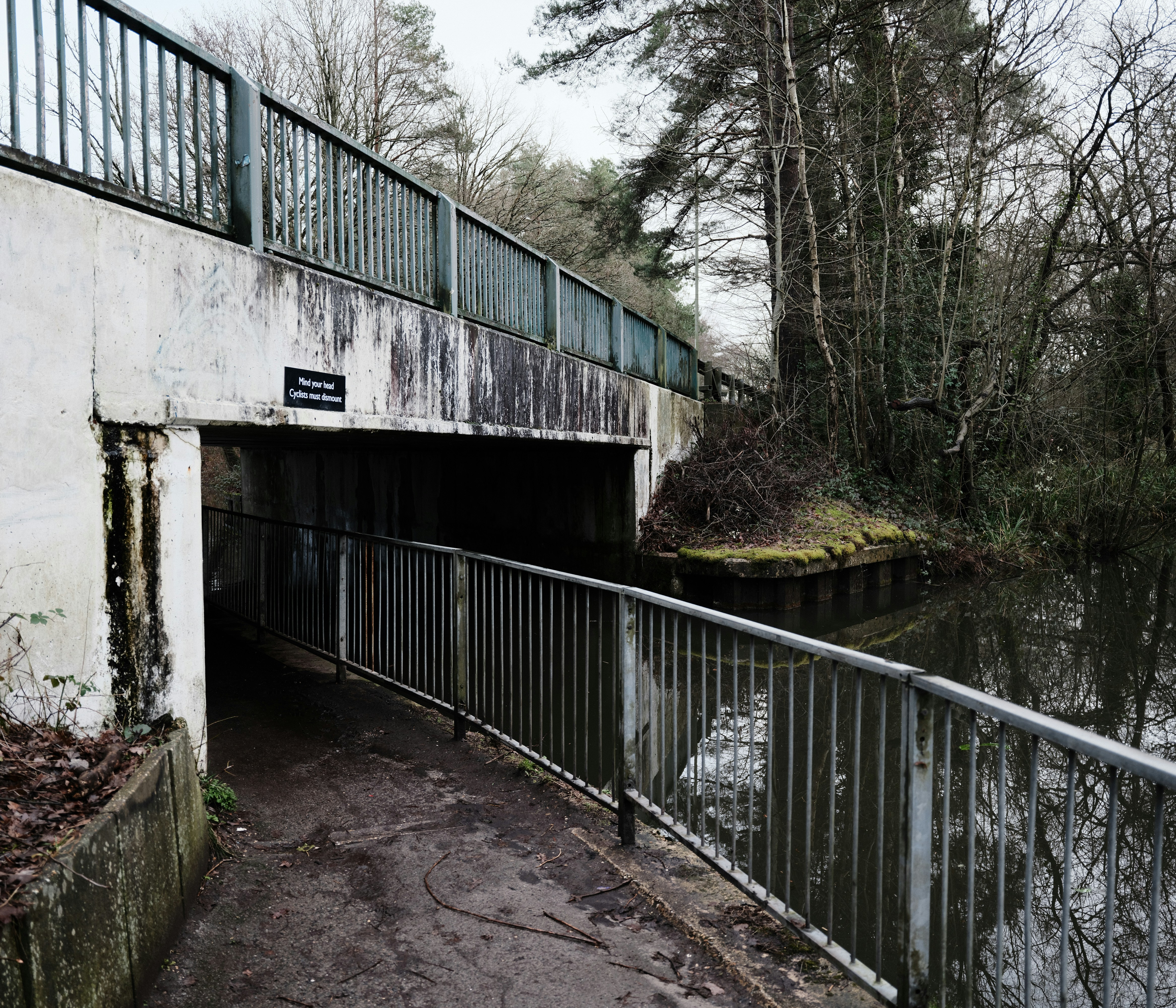 Photo by tanyabarrow