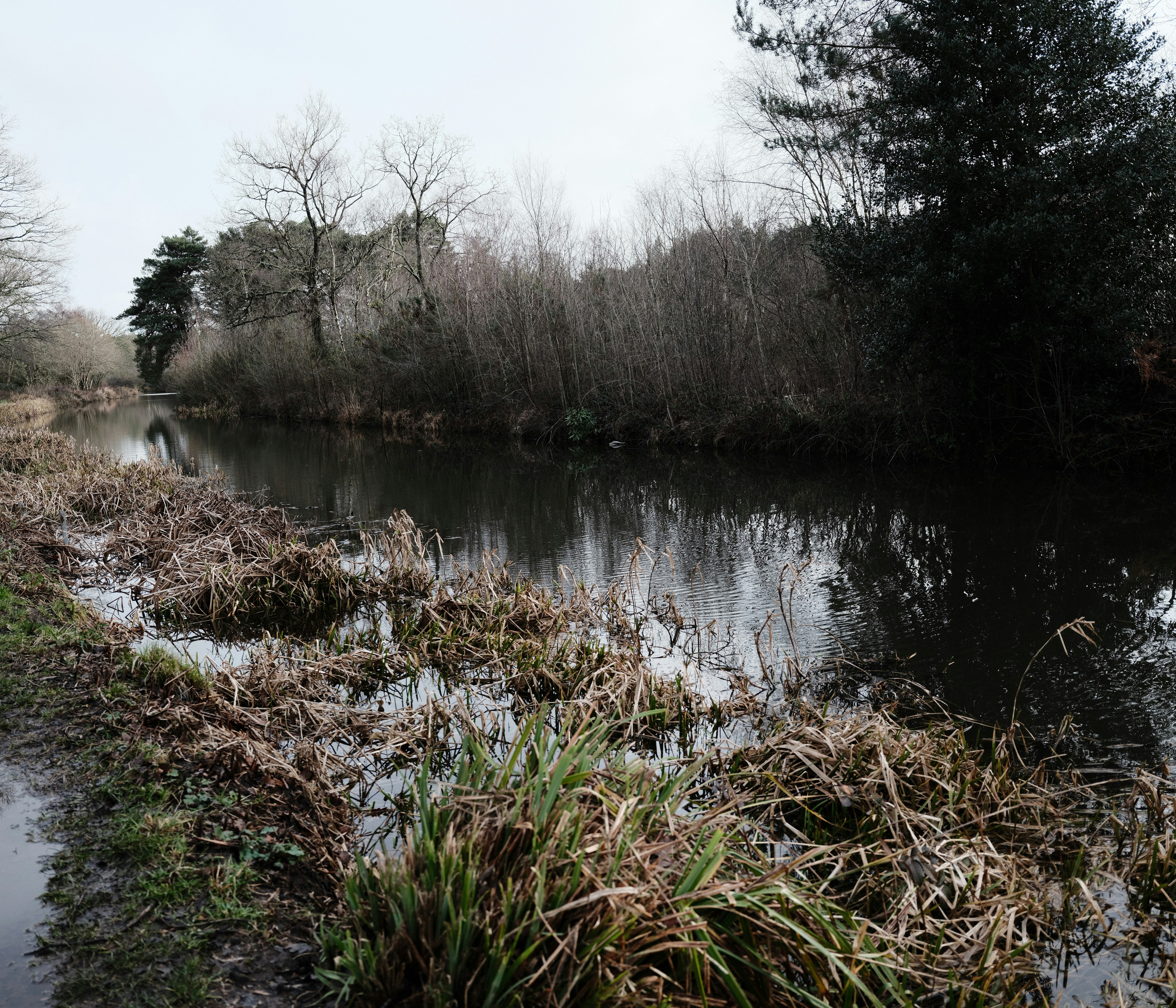 Photo by tanyabarrow